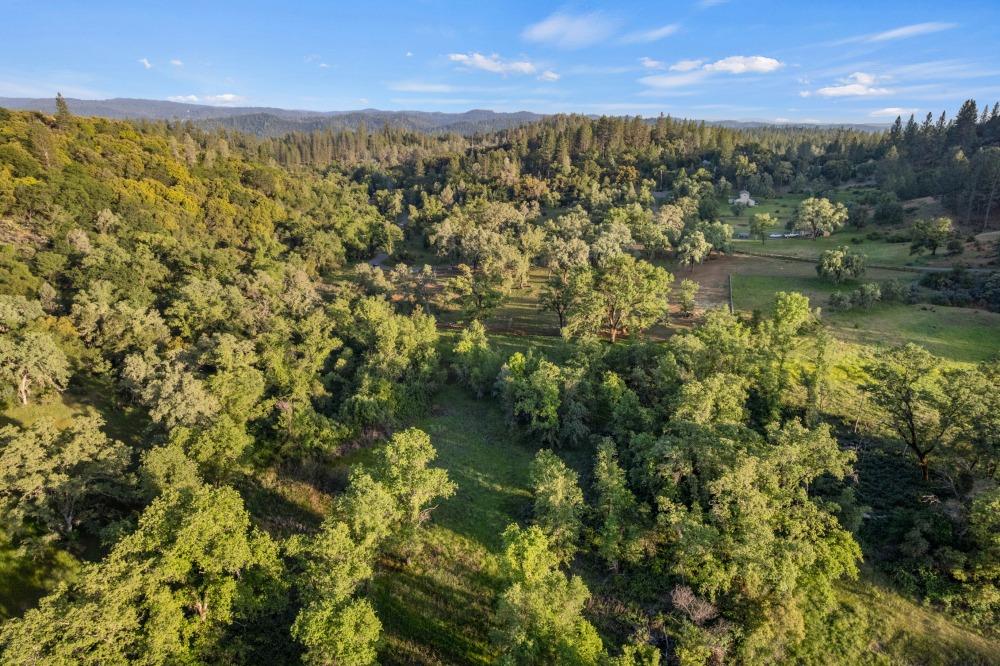 Detail Gallery Image 16 of 21 For 0 Roland Ln, Applegate,  CA 95703 - – Beds | – Baths