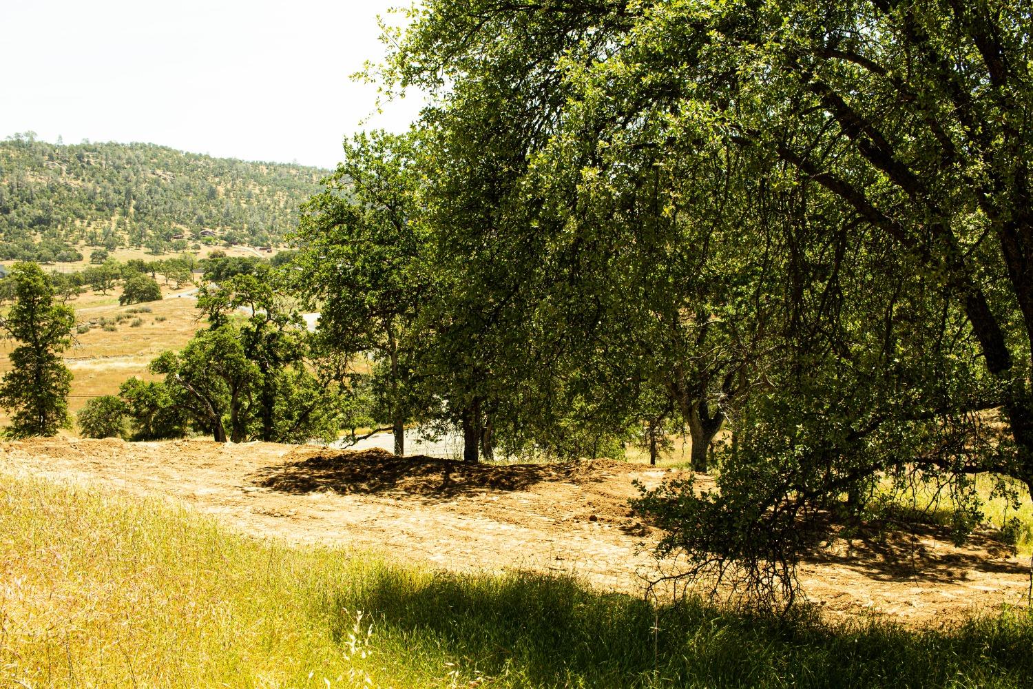 Detail Gallery Image 18 of 26 For 3070 State Hwy 132, La Grange,  CA 95329 - – Beds | – Baths