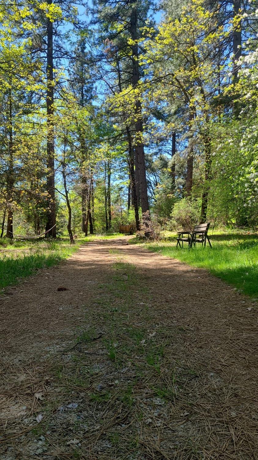 Detail Gallery Image 38 of 39 For Address Is Not Disclosed, Nevada City,  CA 95959 - – Beds | – Baths