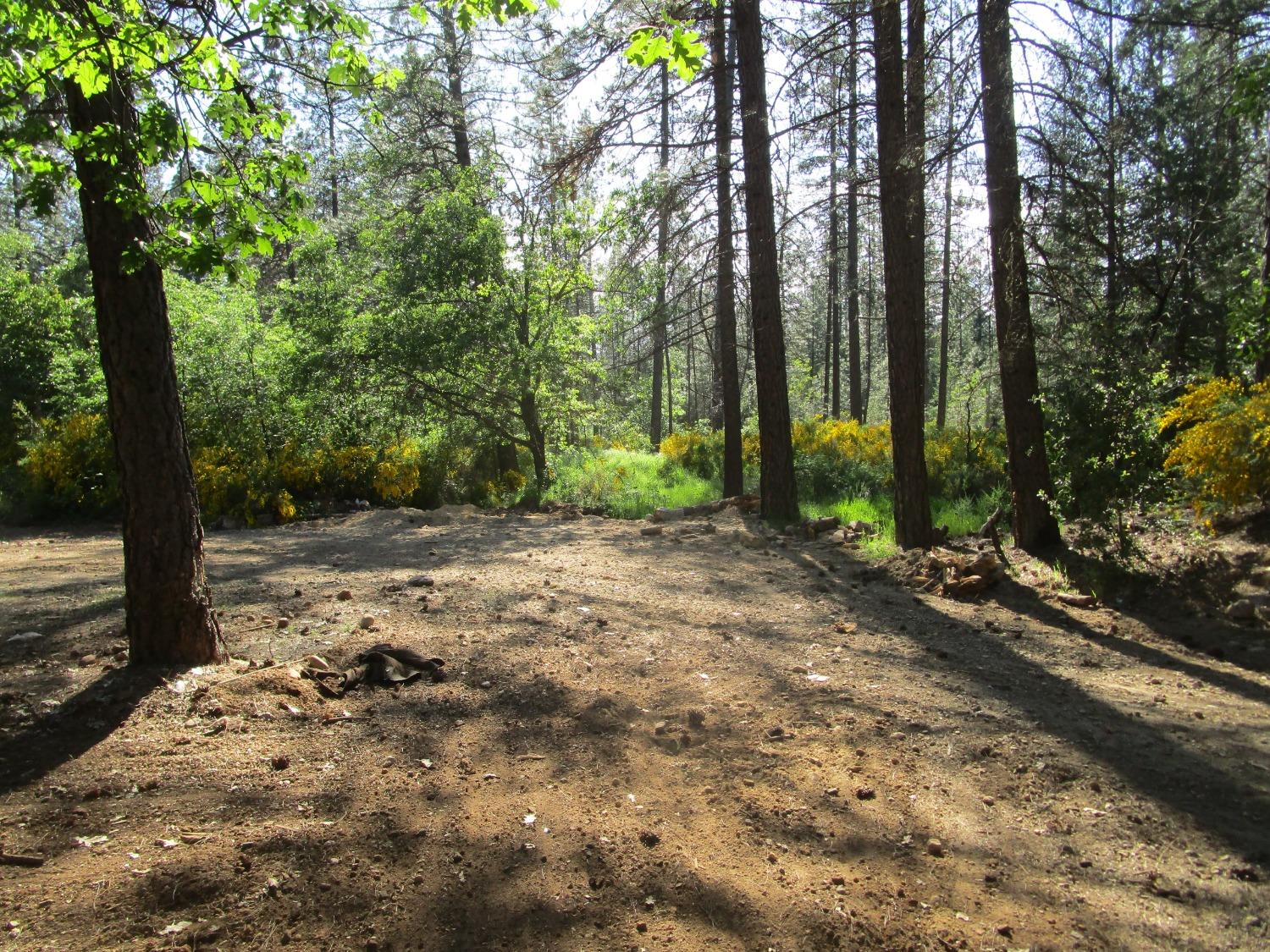 Detail Gallery Image 3 of 10 For 16289 Badger Hill Rd, Nevada City,  CA 95959 - – Beds | – Baths