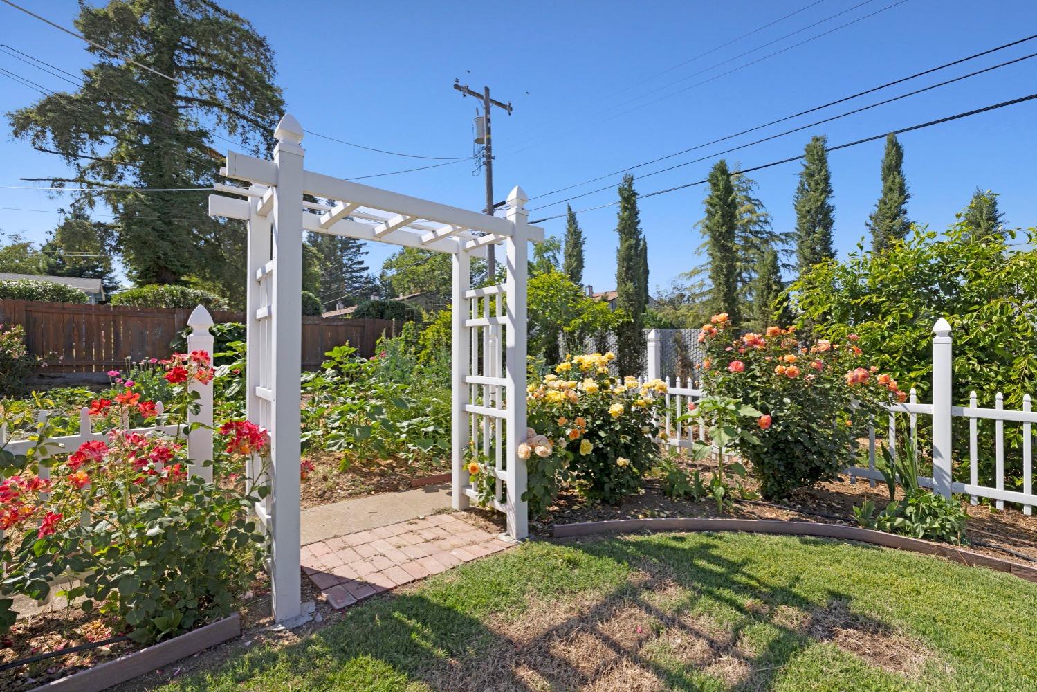 Tulip Way, Sacramento, California image 35