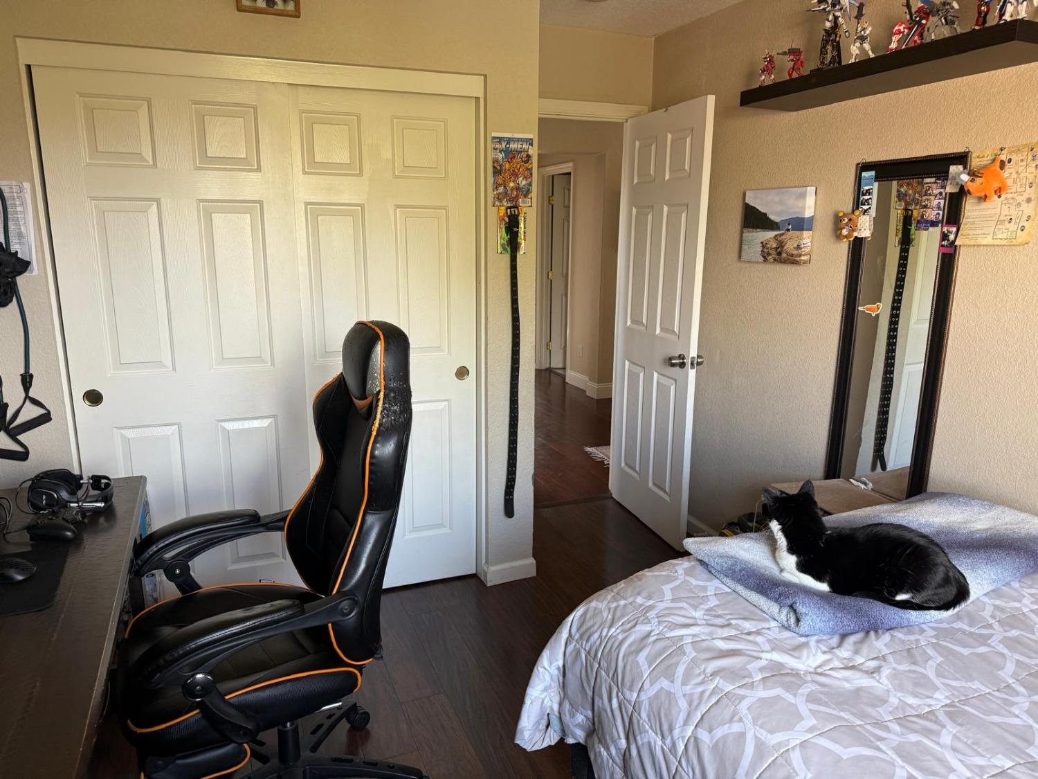 Detail Gallery Image 29 of 61 For 601 Olivine Ave, Lathrop,  CA 95330 - 5 Beds | 3 Baths