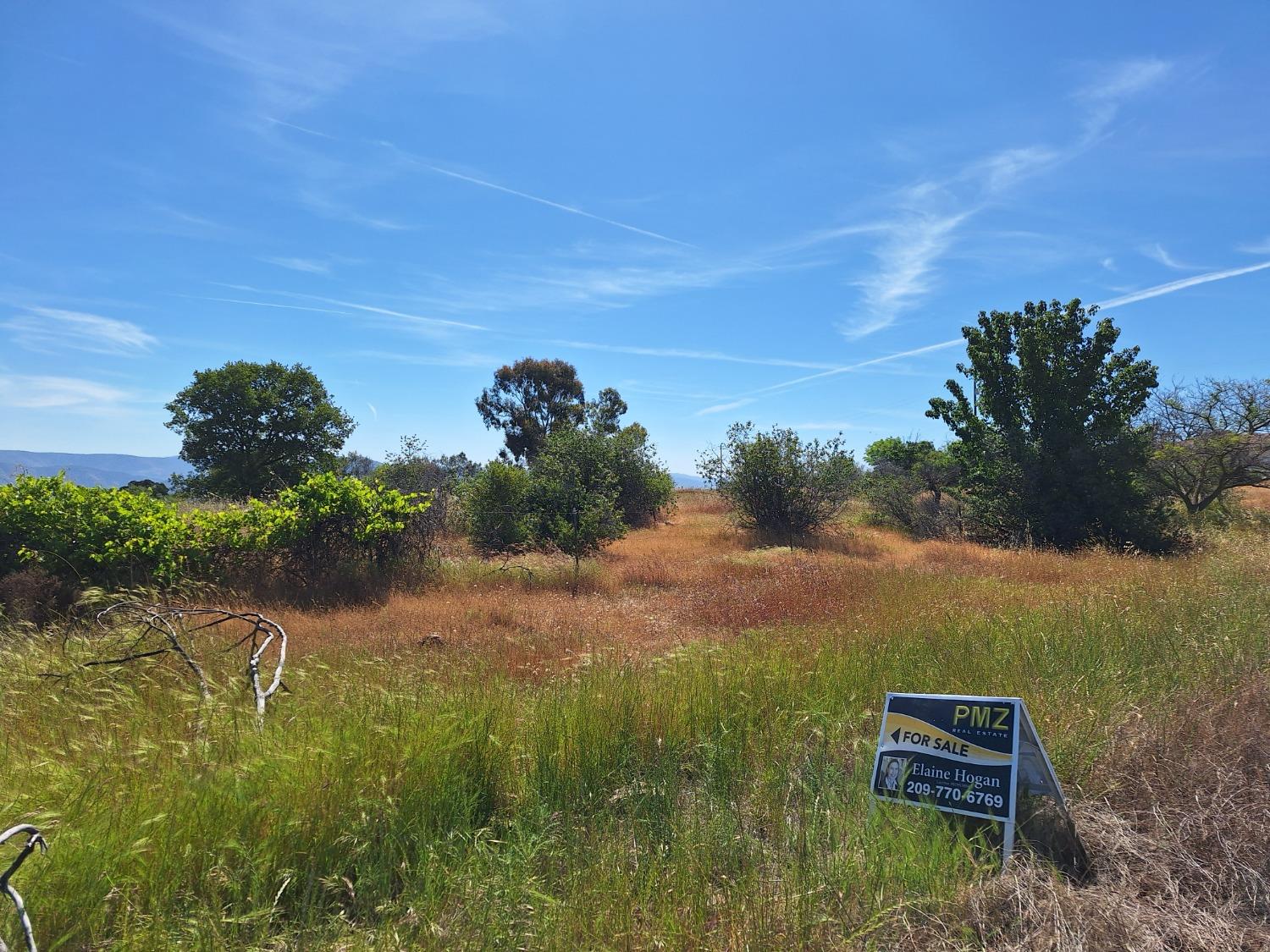 Picadero Way, La Grange, California image 5
