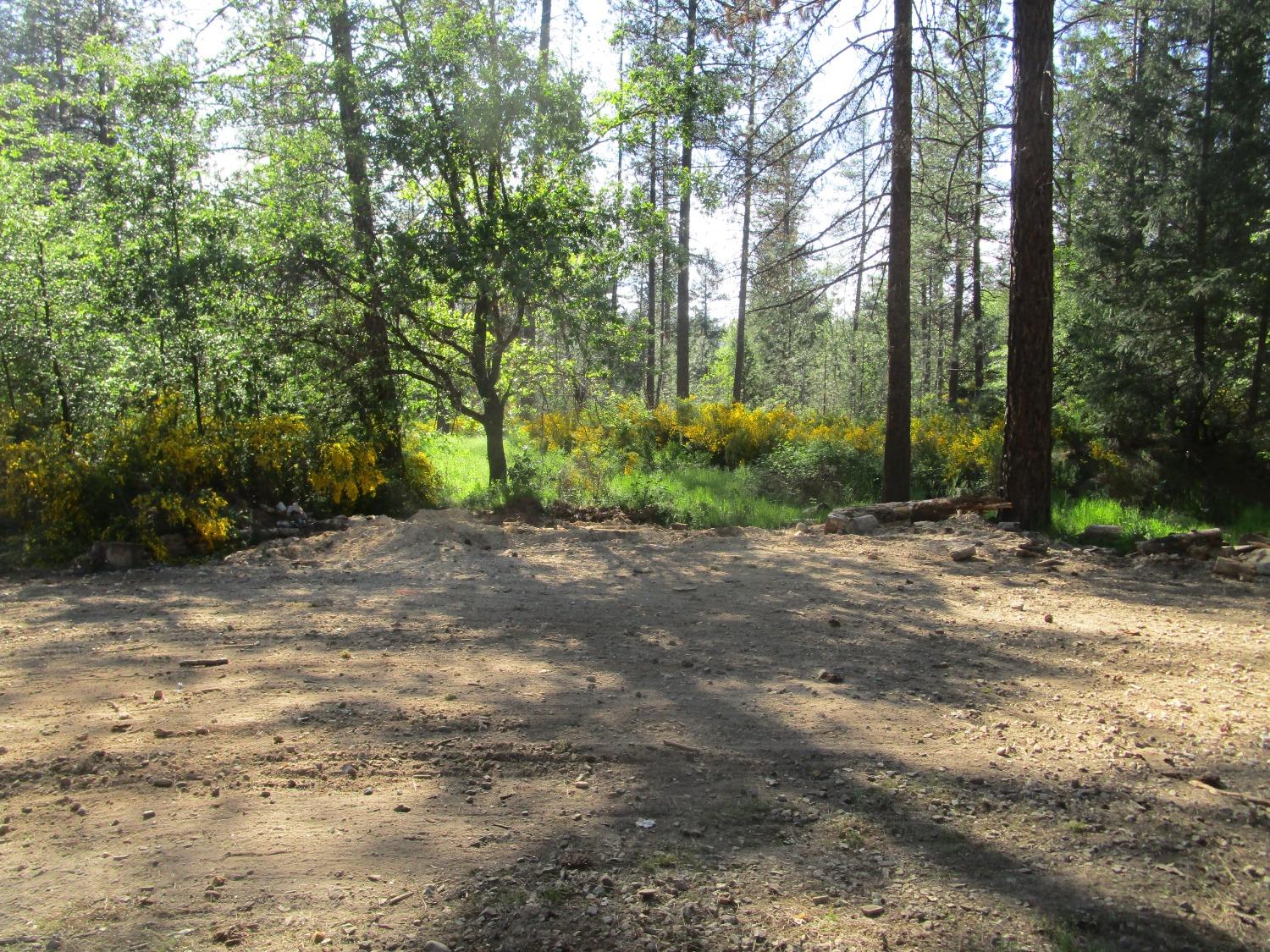 Detail Gallery Image 4 of 10 For 16289 Badger Hill Rd, Nevada City,  CA 95959 - – Beds | – Baths