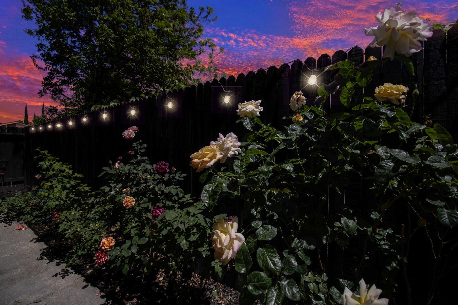 Detail Gallery Image 29 of 45 For 3546 Treleaven Ct, Antelope,  CA 95843 - 2 Beds | 2 Baths