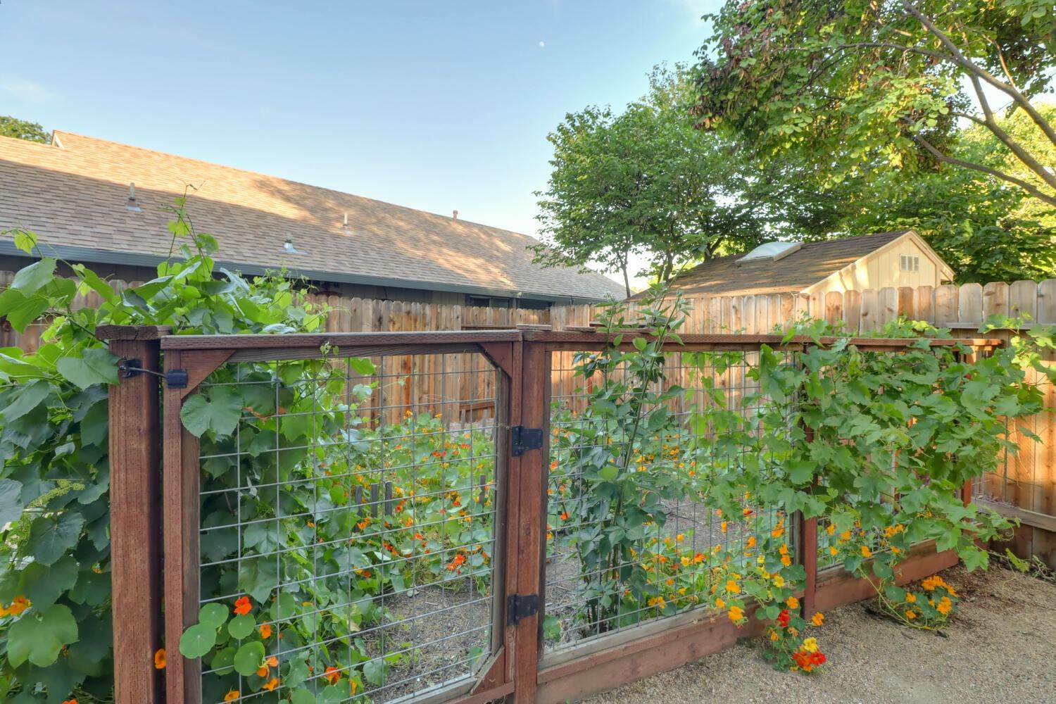 Detail Gallery Image 55 of 60 For 1110 Garfield Ter, Davis,  CA 95616 - 3 Beds | 2/1 Baths