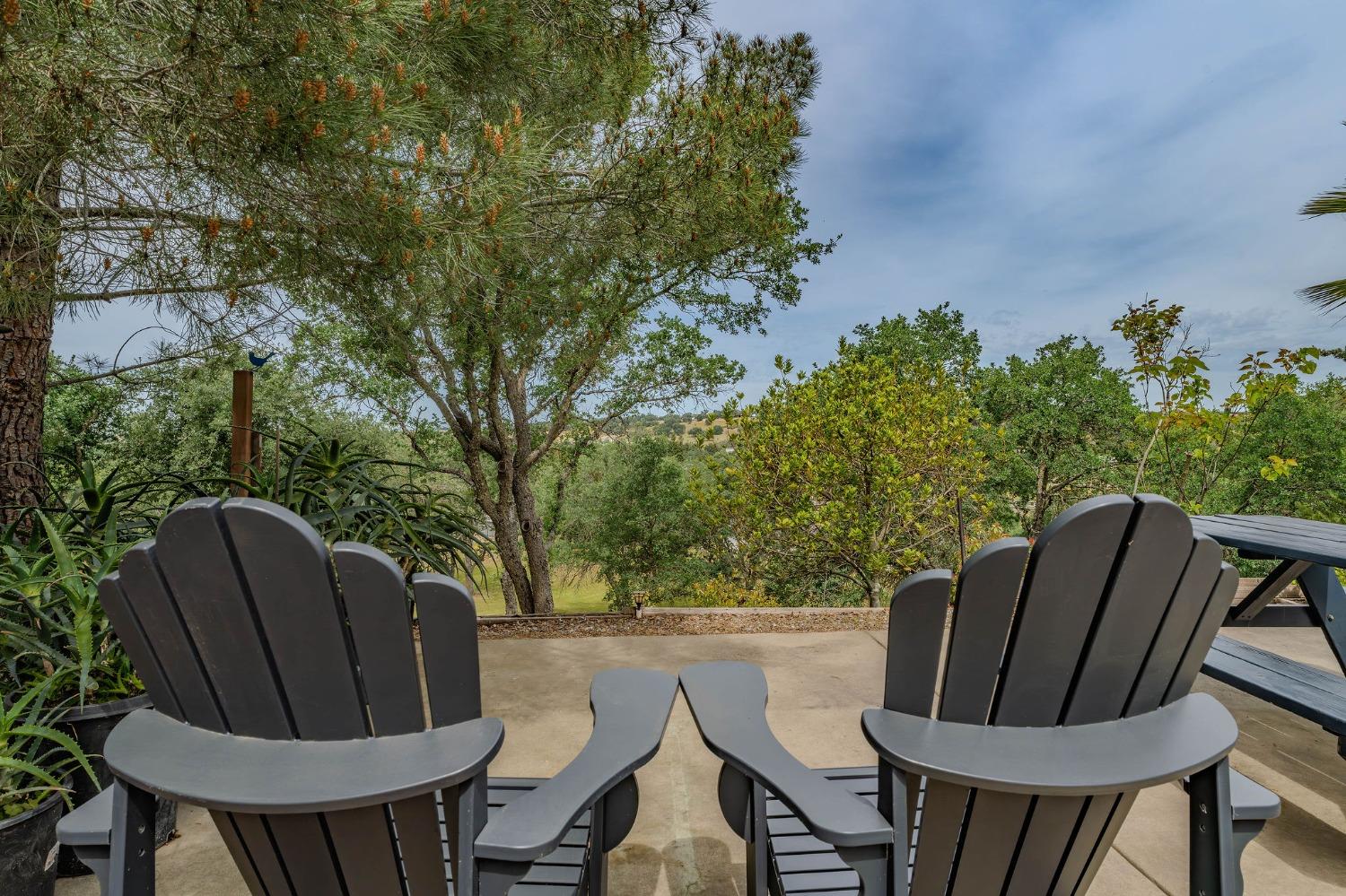 Detail Gallery Image 67 of 79 For 102 Brandy Ct, Valley Springs,  CA 95252 - 3 Beds | 2/1 Baths