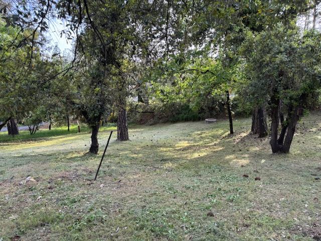 Siems Avenue #15 SU, Colfax, California image 24