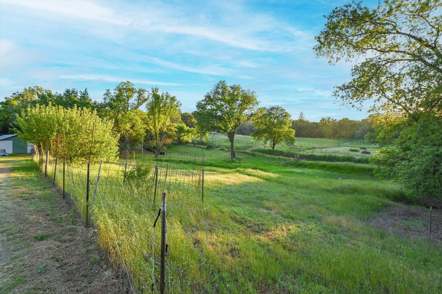 Detail Gallery Image 63 of 70 For 13930 Fiddletown Rd, Fiddletown,  CA 95629 - 3 Beds | 2/1 Baths