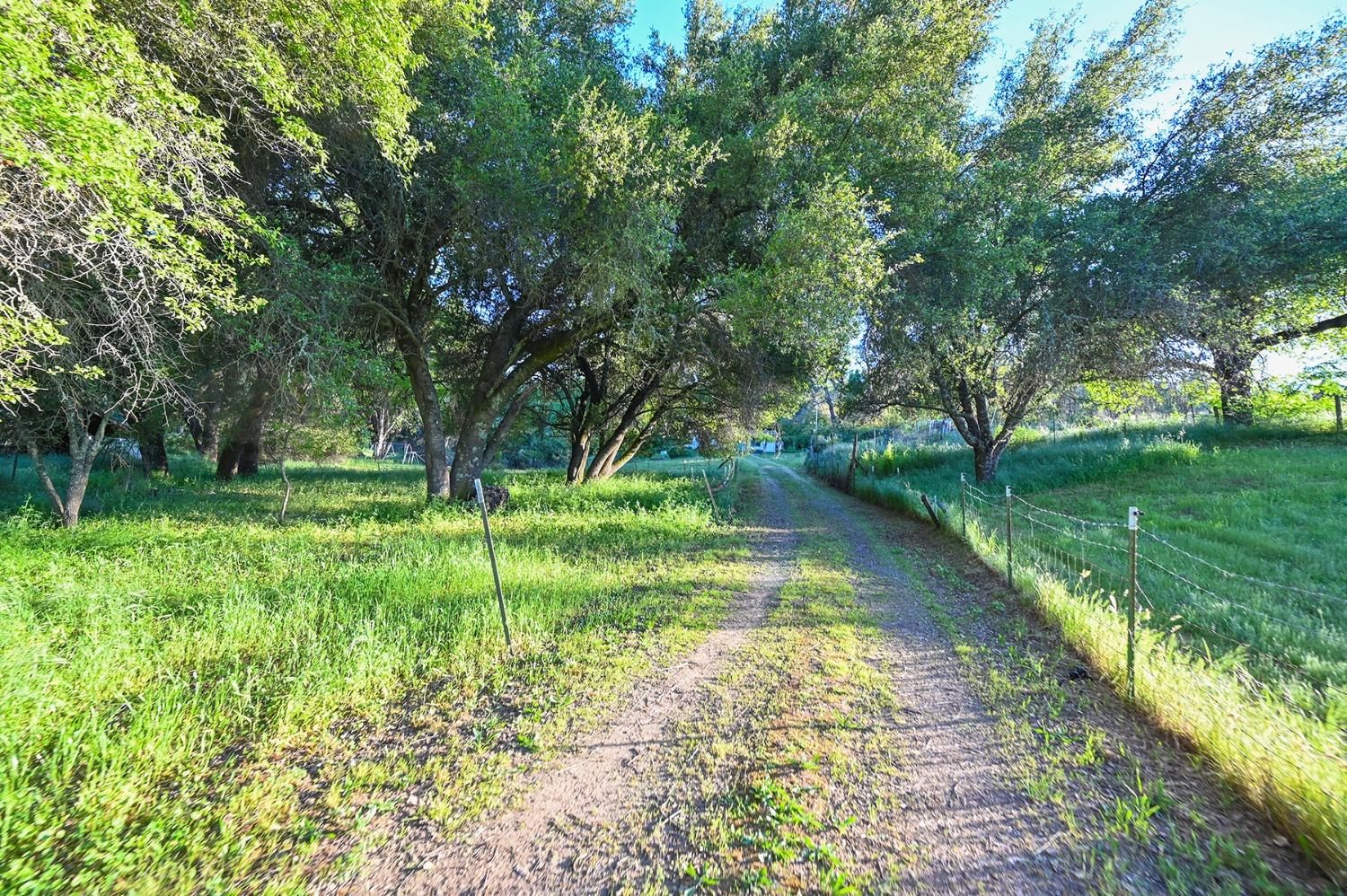Detail Gallery Image 34 of 70 For 13930 Fiddletown Rd, Fiddletown,  CA 95629 - 3 Beds | 2/1 Baths