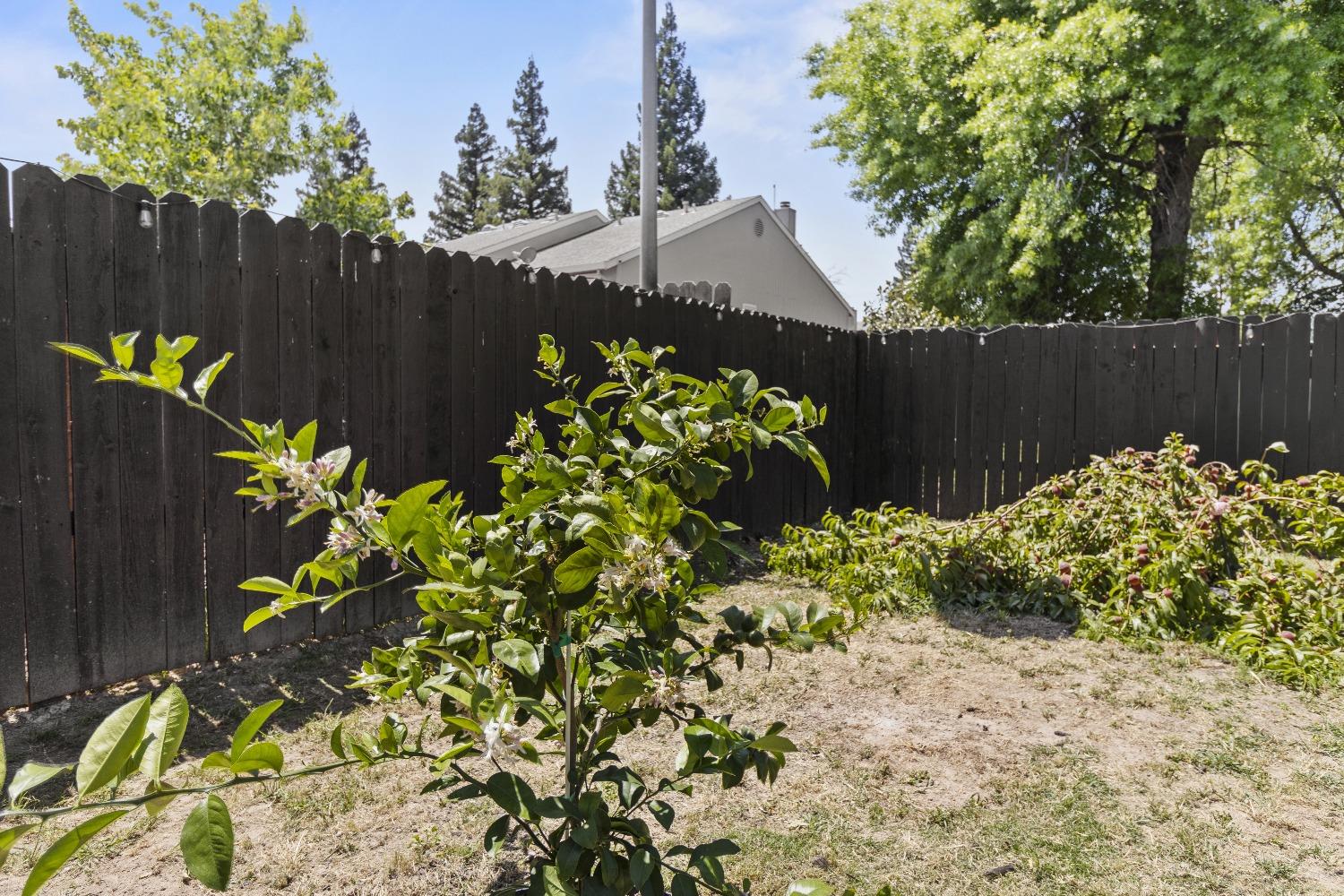 Detail Gallery Image 44 of 45 For 3546 Treleaven Ct, Antelope,  CA 95843 - 2 Beds | 2 Baths