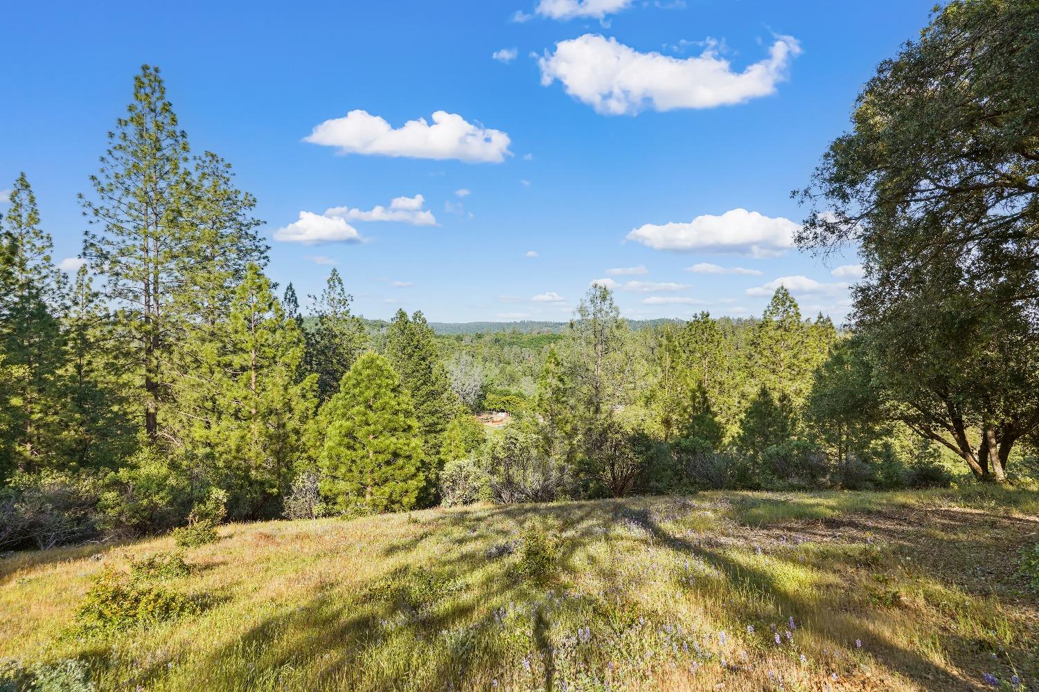 Detail Gallery Image 97 of 99 For 500 Hilltop Ct, Applegate,  CA 95703 - 3 Beds | 2/1 Baths