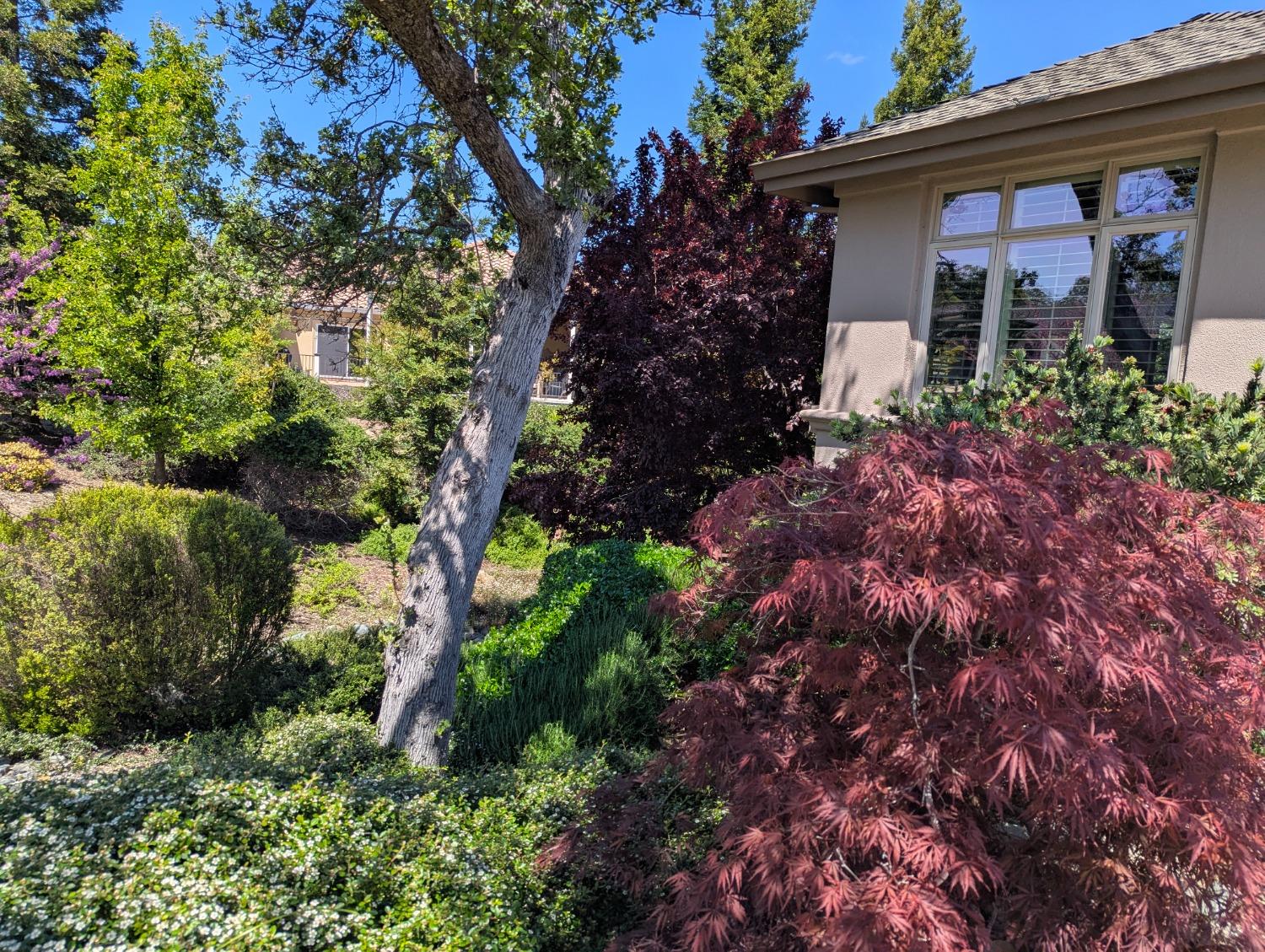 Detail Gallery Image 34 of 40 For 50 Knolls Ct, Copperopolis,  CA 95228 - 2 Beds | 2 Baths