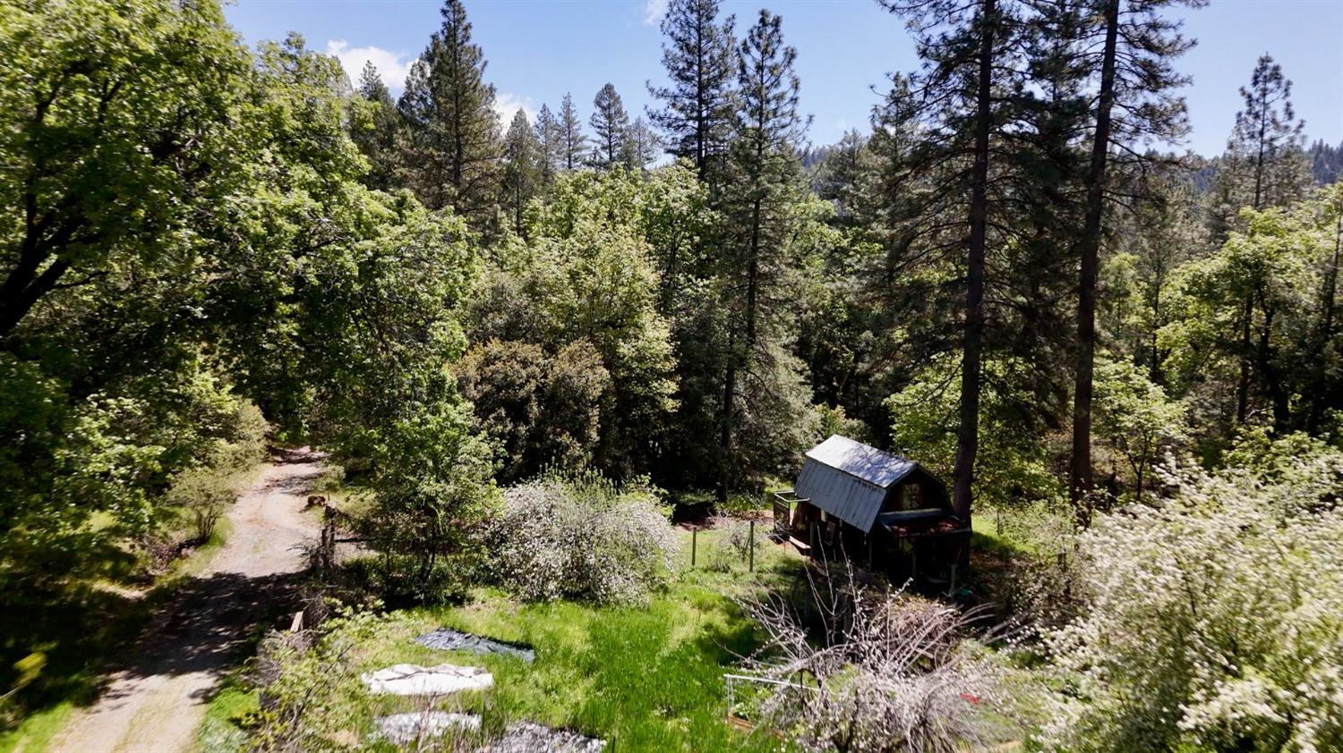Detail Gallery Image 5 of 39 For Address Is Not Disclosed, Nevada City,  CA 95959 - – Beds | – Baths