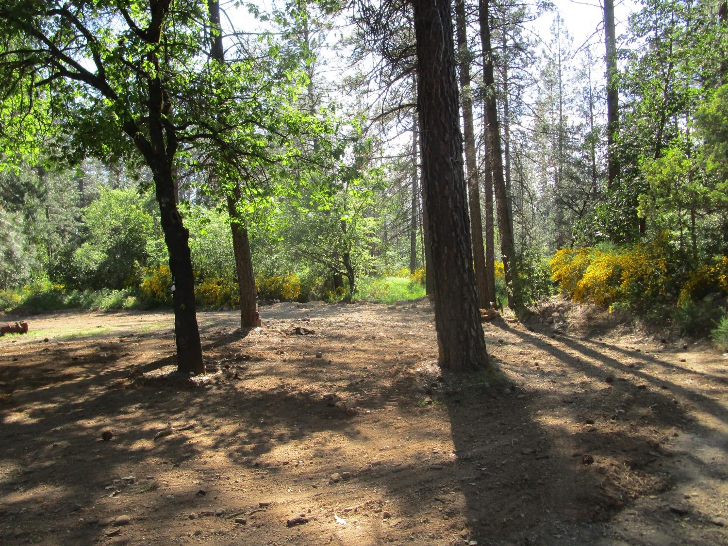 Detail Gallery Image 2 of 10 For 16289 Badger Hill Rd, Nevada City,  CA 95959 - – Beds | – Baths