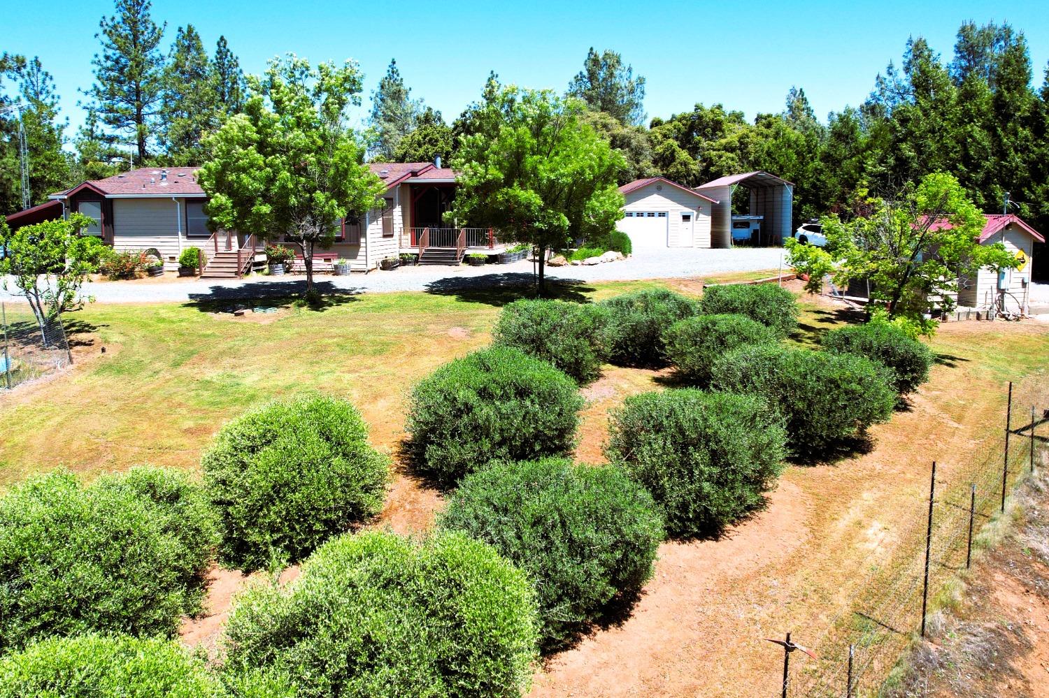 Detail Gallery Image 32 of 65 For 18145 Holly Rd, Fiddletown,  CA 95629 - 3 Beds | 2 Baths