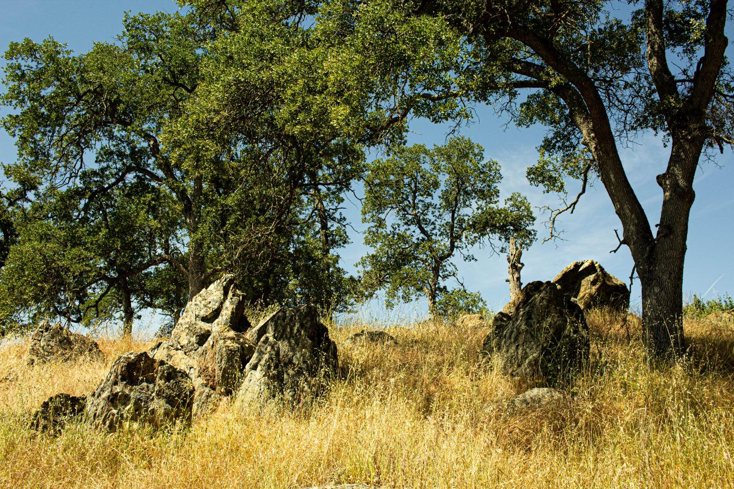Detail Gallery Image 4 of 26 For 3070 State Hwy 132, La Grange,  CA 95329 - – Beds | – Baths