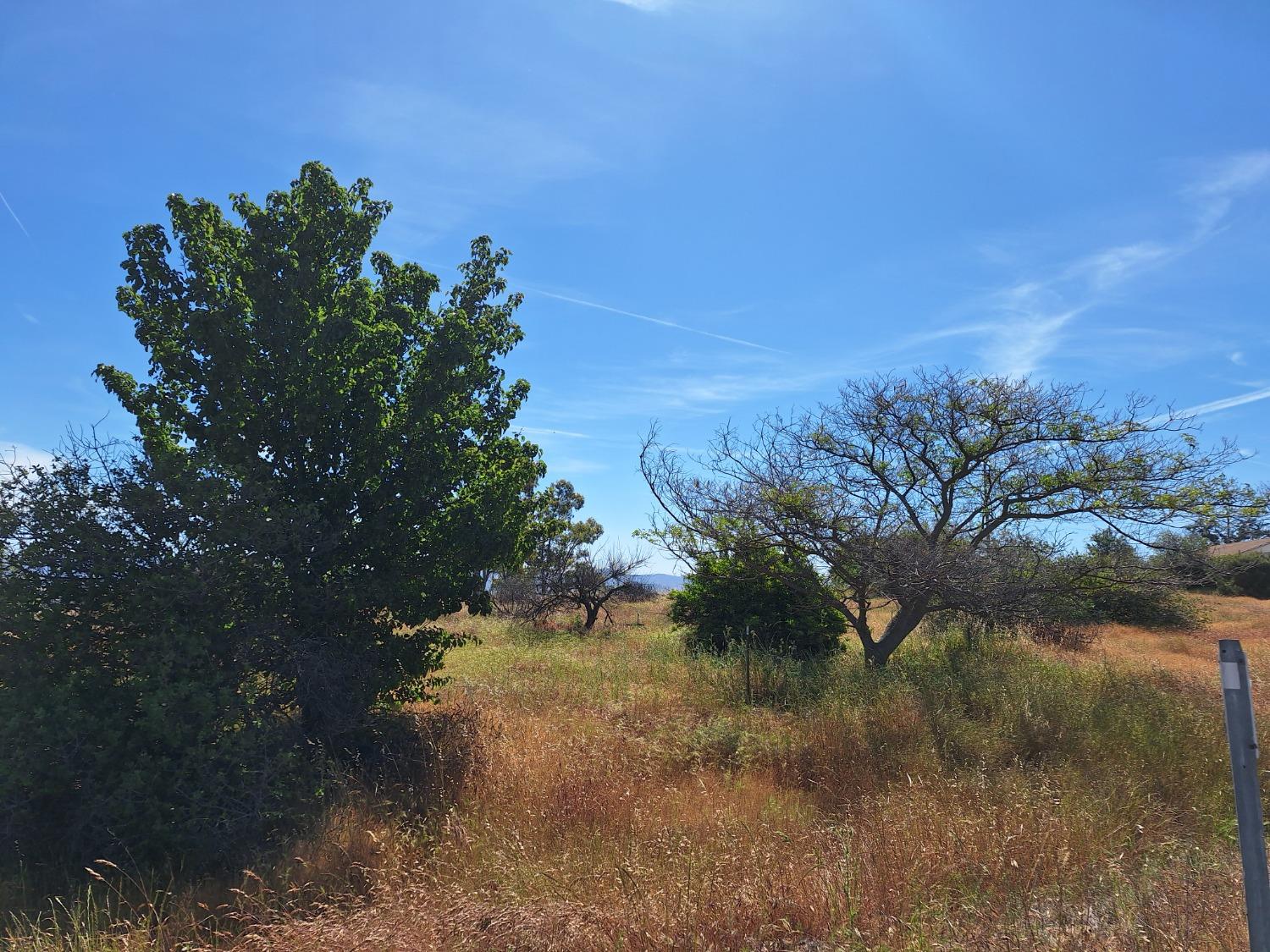 Picadero Way, La Grange, California image 6