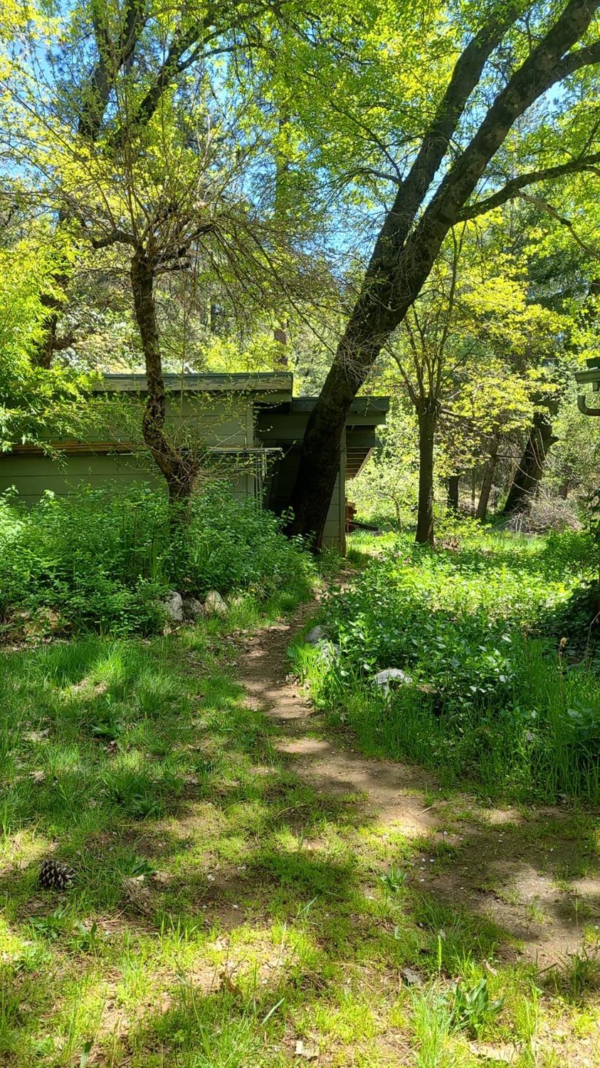 Detail Gallery Image 36 of 39 For Address Is Not Disclosed, Nevada City,  CA 95959 - – Beds | – Baths