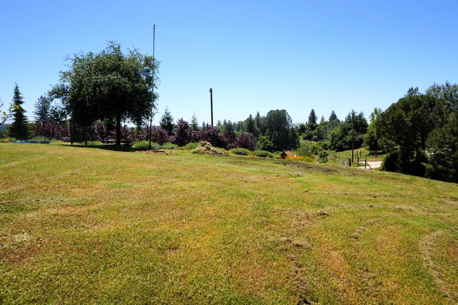 Detail Gallery Image 58 of 65 For 18145 Holly Rd, Fiddletown,  CA 95629 - 3 Beds | 2 Baths