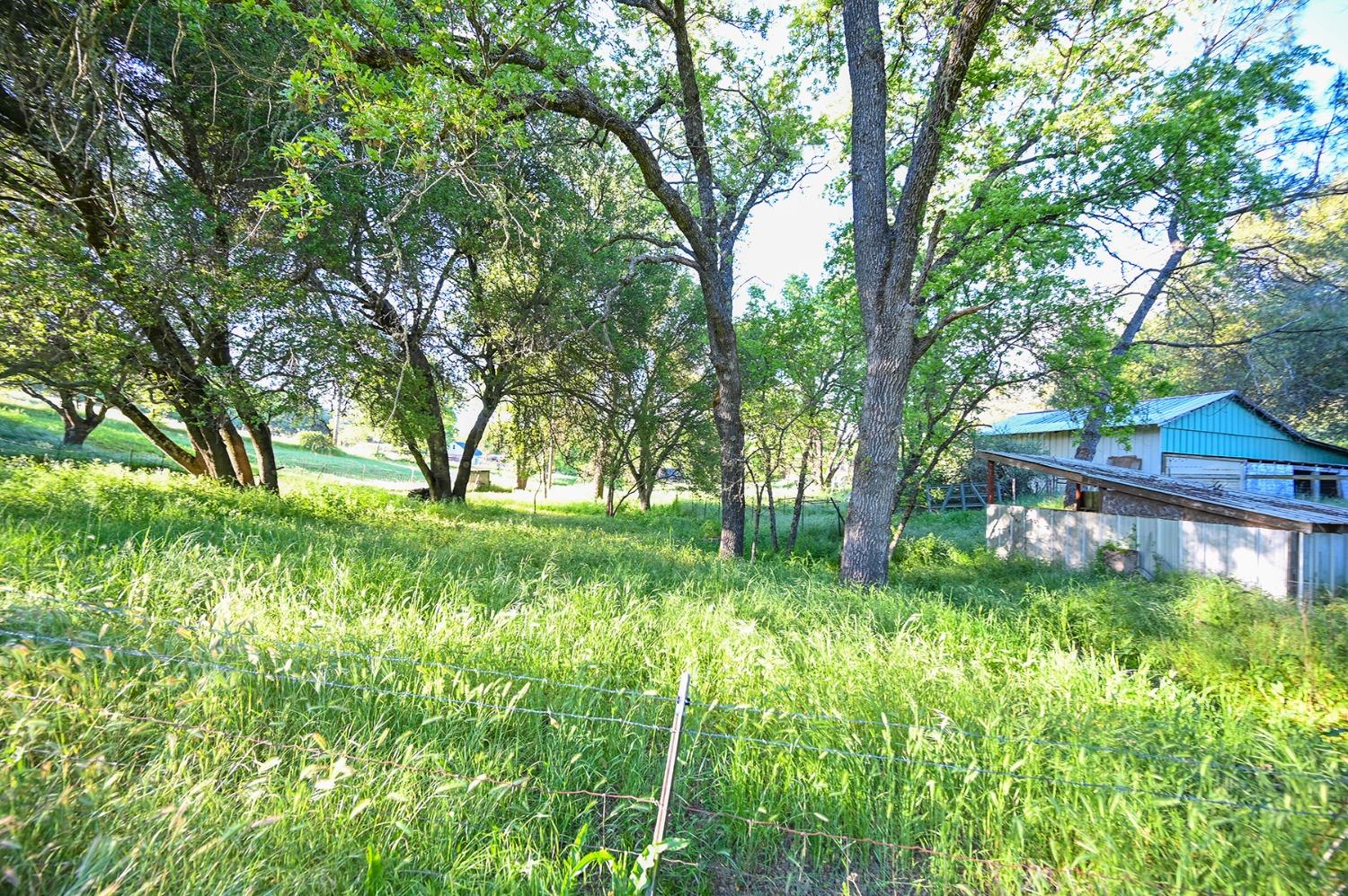 Detail Gallery Image 25 of 70 For 13930 Fiddletown Rd, Fiddletown,  CA 95629 - 3 Beds | 2/1 Baths