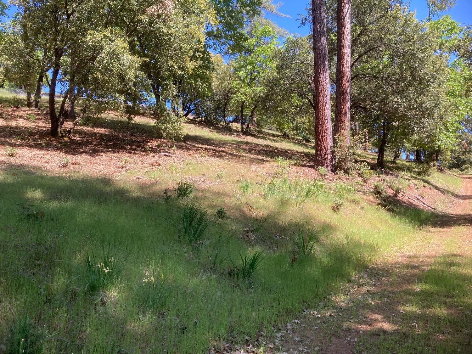 Detail Gallery Image 65 of 83 For 16688 Sonshine Ln, Sutter Creek,  CA 95685 - – Beds | – Baths