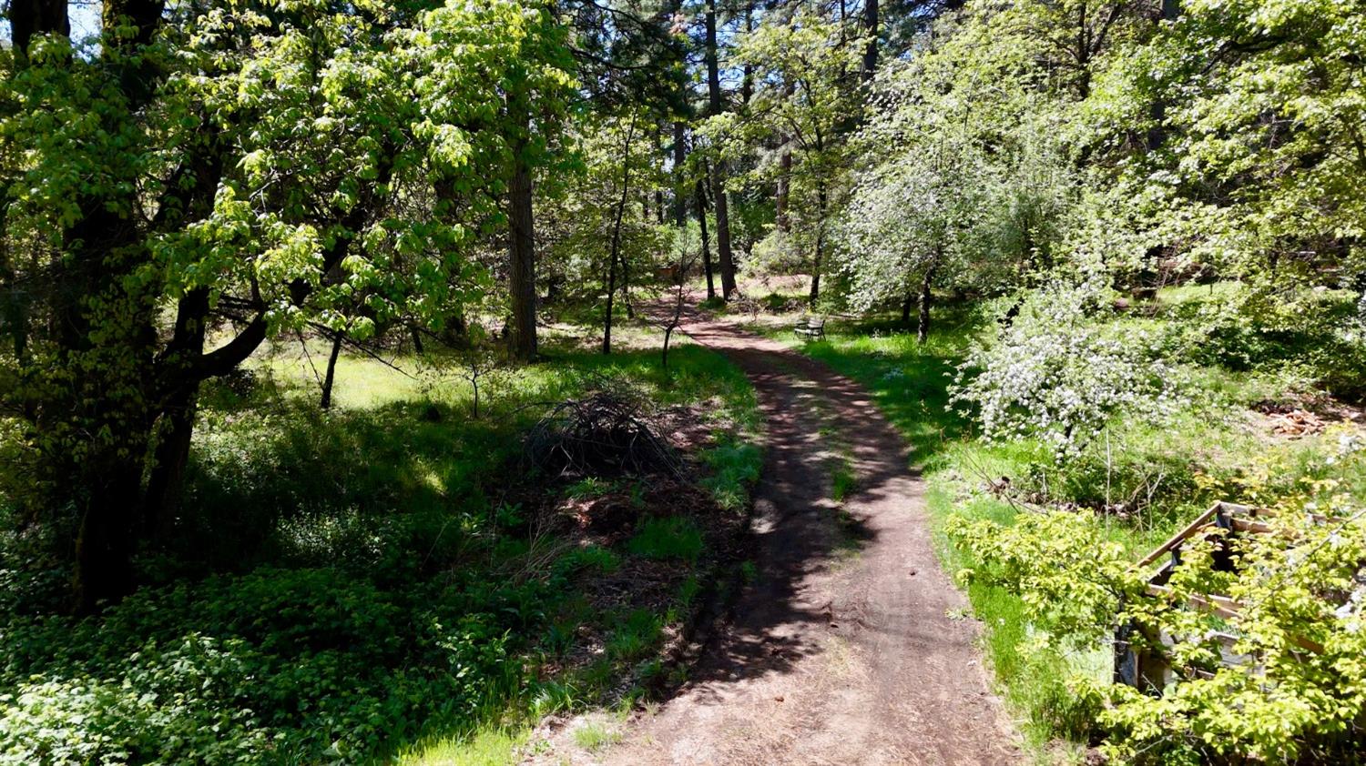 Detail Gallery Image 11 of 39 For Address Is Not Disclosed, Nevada City,  CA 95959 - – Beds | – Baths