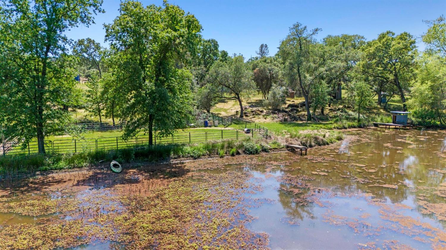 Detail Gallery Image 51 of 55 For 2681 Pinecrest Rd, Oroville,  CA 95966 - 3 Beds | 2 Baths