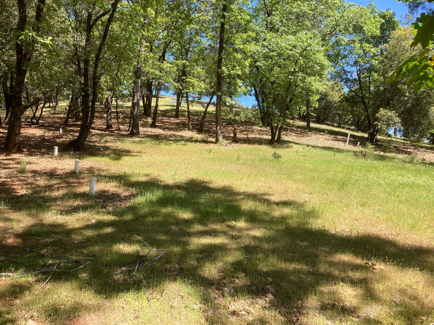 Detail Gallery Image 66 of 83 For 16688 Sonshine Ln, Sutter Creek,  CA 95685 - – Beds | – Baths