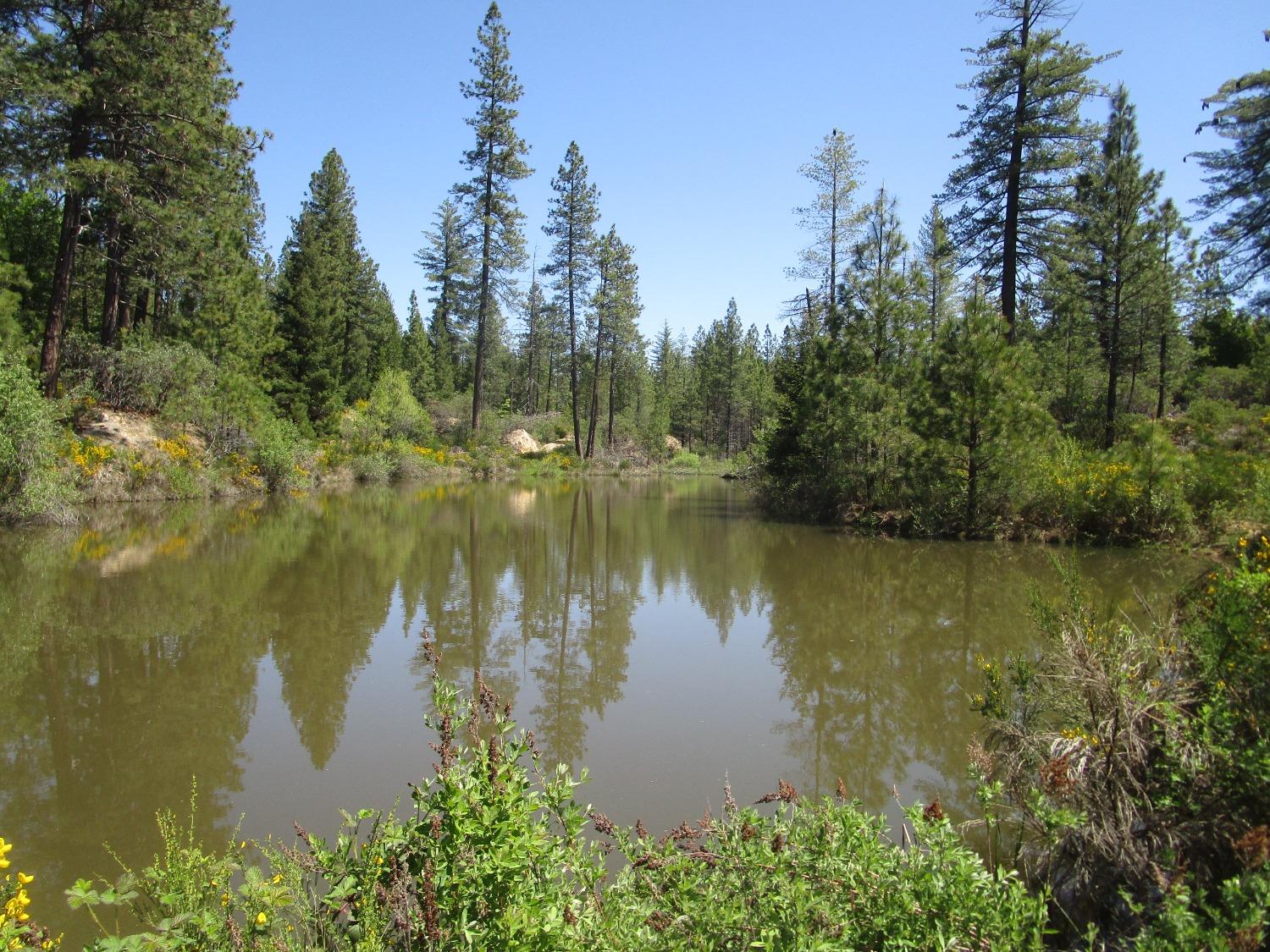 Detail Gallery Image 1 of 10 For 16289 Badger Hill Rd, Nevada City,  CA 95959 - – Beds | – Baths