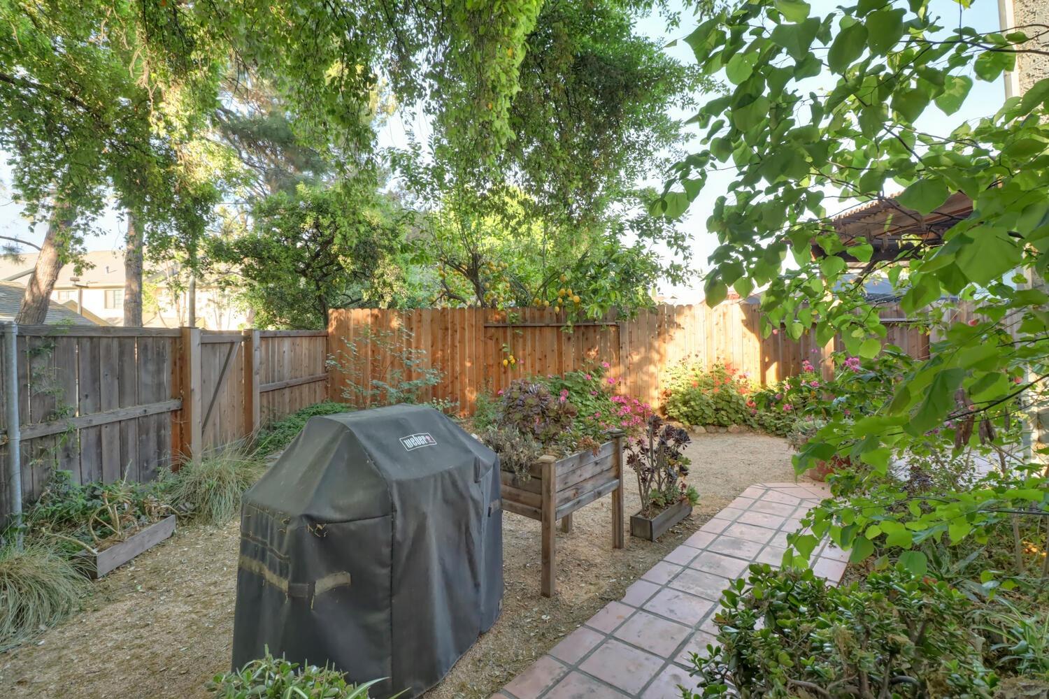 Garfield Terrace, Davis, California image 44
