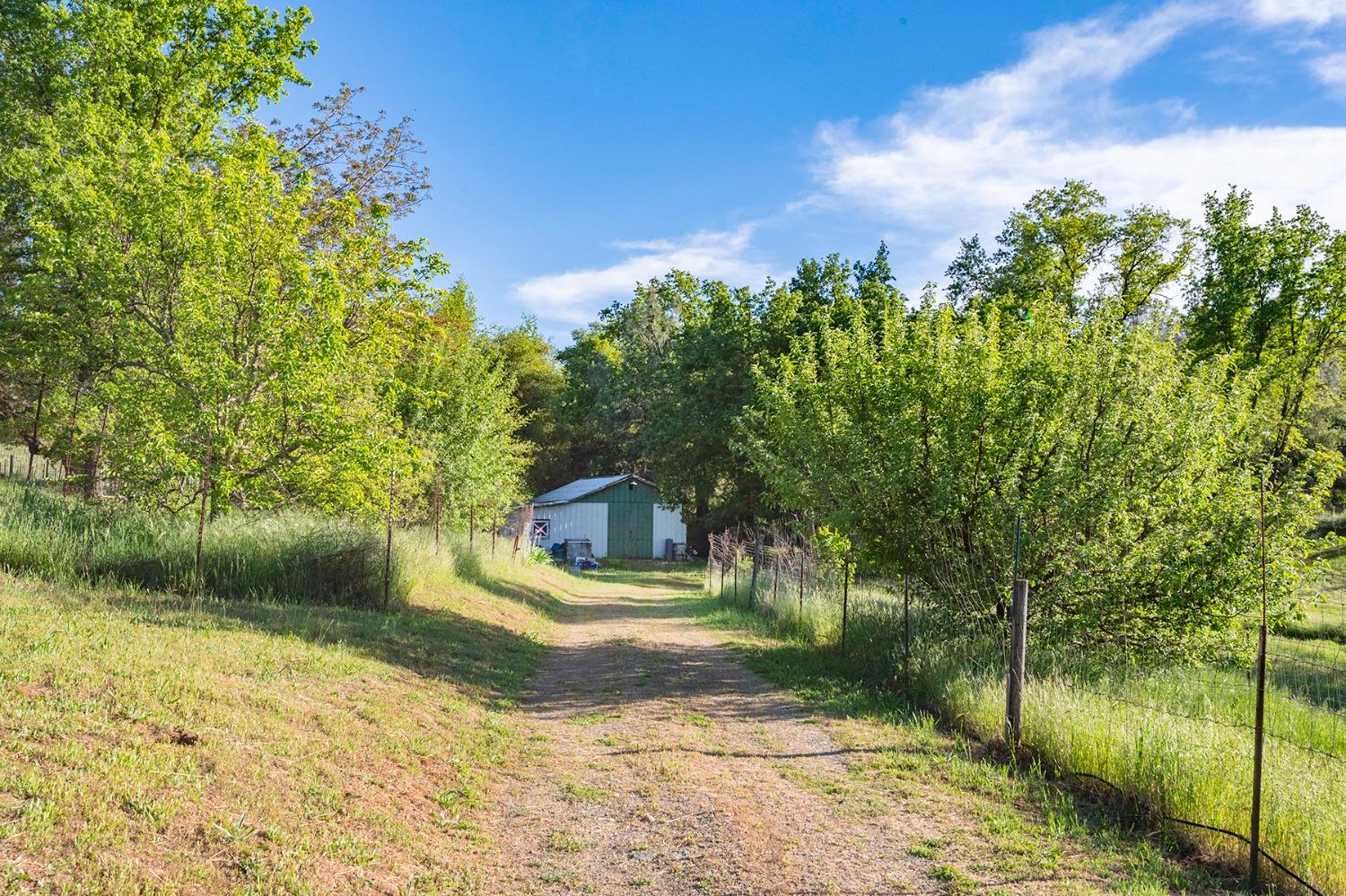 Detail Gallery Image 10 of 70 For 13930 Fiddletown Rd, Fiddletown,  CA 95629 - 3 Beds | 2/1 Baths