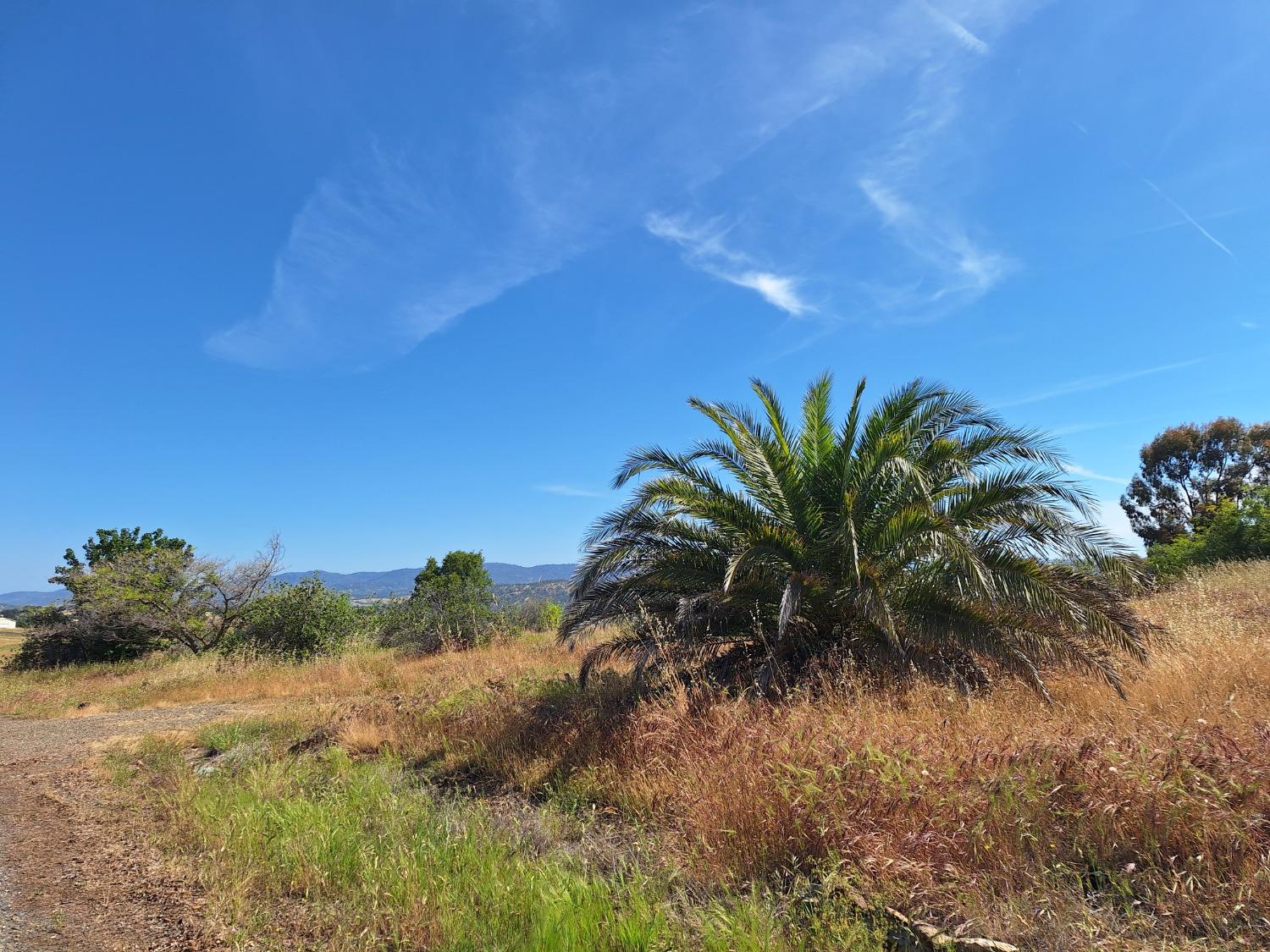 Picadero Way, La Grange, California image 10