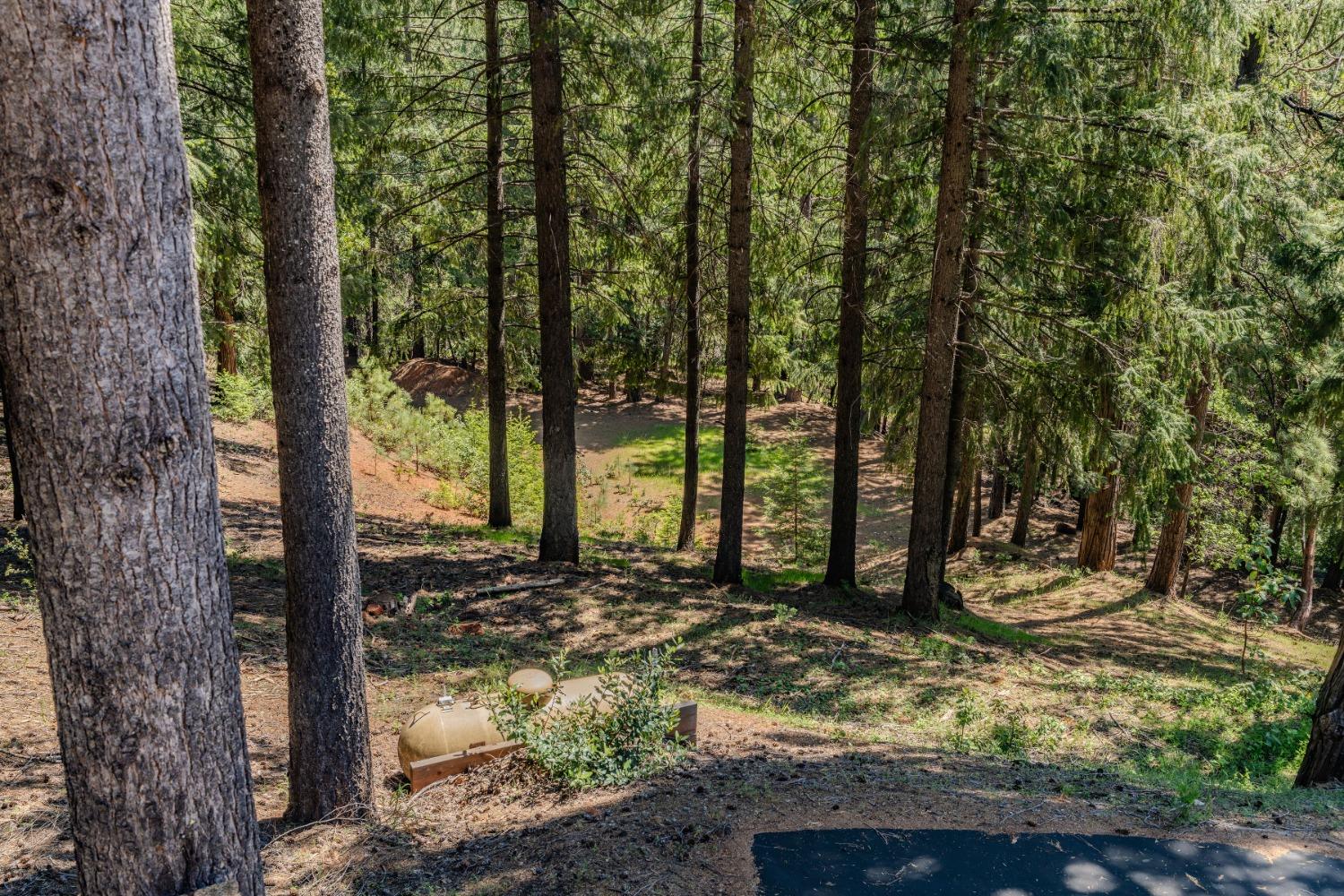 Detail Gallery Image 50 of 66 For 18720 Circle View Dr, Pioneer,  CA 95666 - 3 Beds | 3 Baths