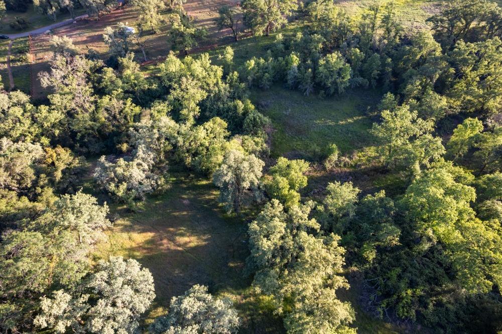 Detail Gallery Image 21 of 21 For 0 Roland Ln, Applegate,  CA 95703 - – Beds | – Baths