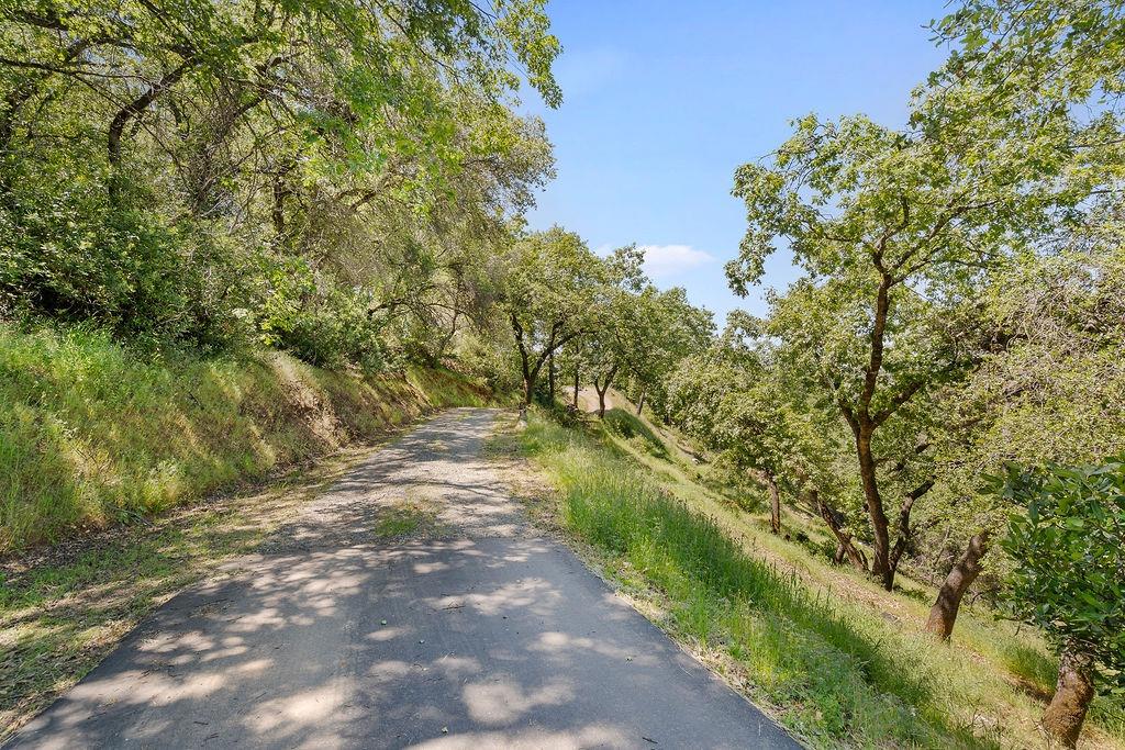 Sunrise Ridge Rd, Shingle Springs, California image 42