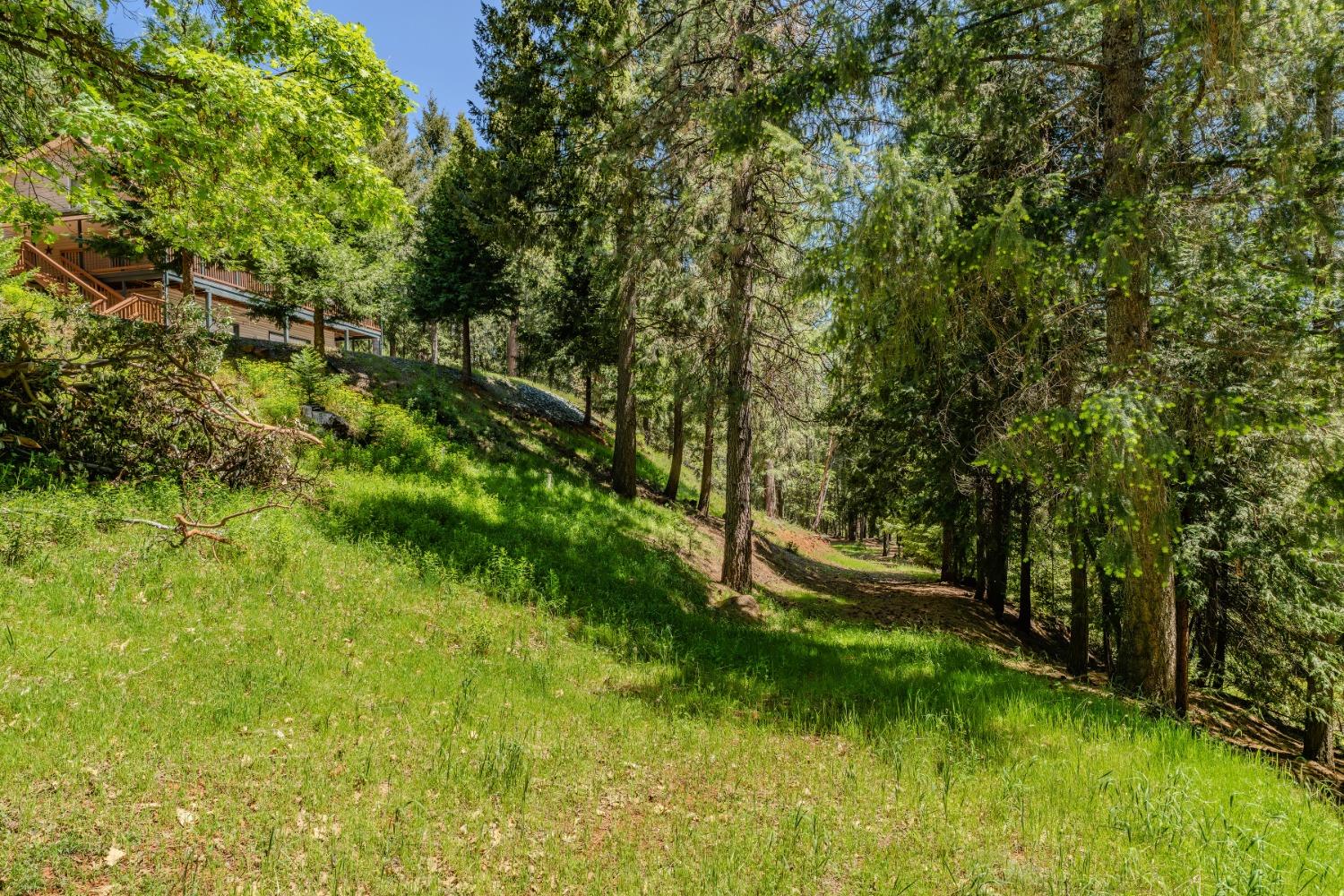 Detail Gallery Image 55 of 66 For 18720 Circle View Dr, Pioneer,  CA 95666 - 3 Beds | 3 Baths