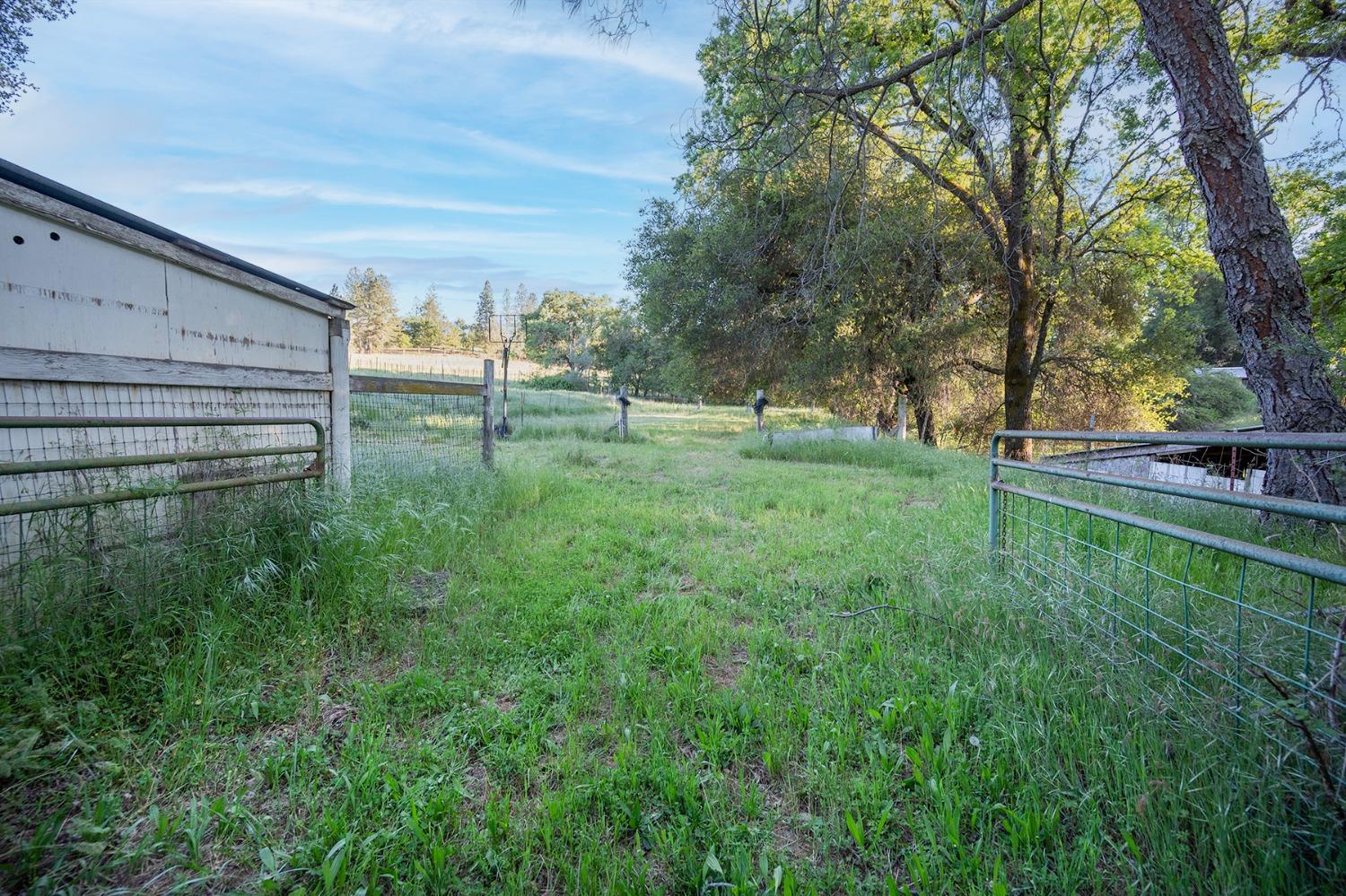 Detail Gallery Image 19 of 70 For 13930 Fiddletown Rd, Fiddletown,  CA 95629 - 3 Beds | 2/1 Baths
