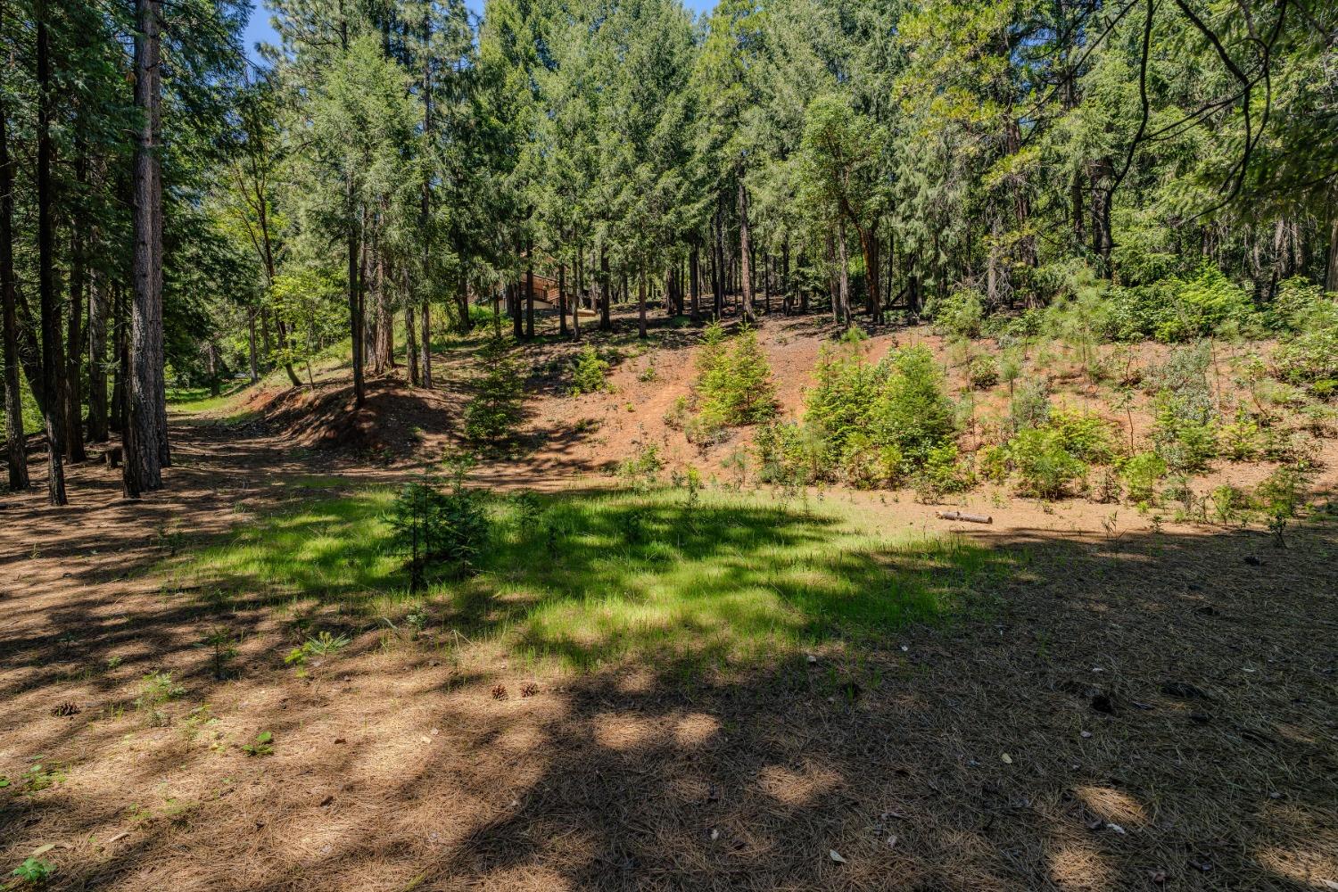 Detail Gallery Image 59 of 66 For 18720 Circle View Dr, Pioneer,  CA 95666 - 3 Beds | 3 Baths