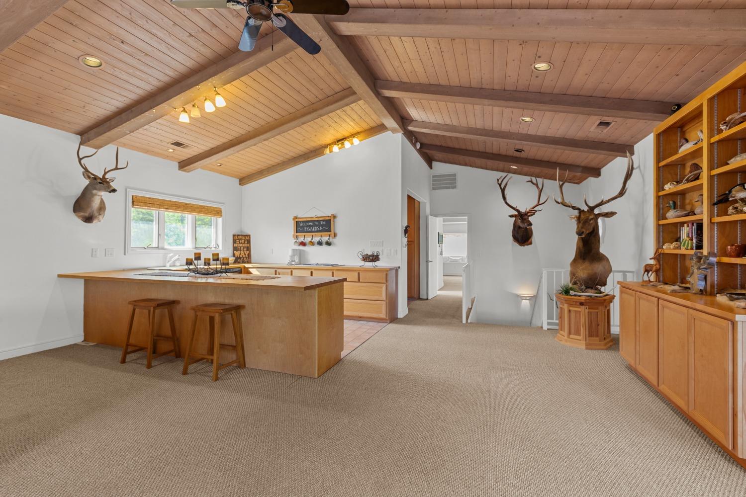 Detail Gallery Image 42 of 87 For 14801 Vaira Ranch Rd, Drytown,  CA 95699 - 4 Beds | 3 Baths