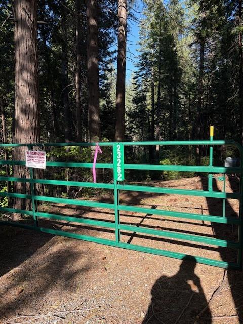 Double Rainbow Rd, Nevada City, California image 2