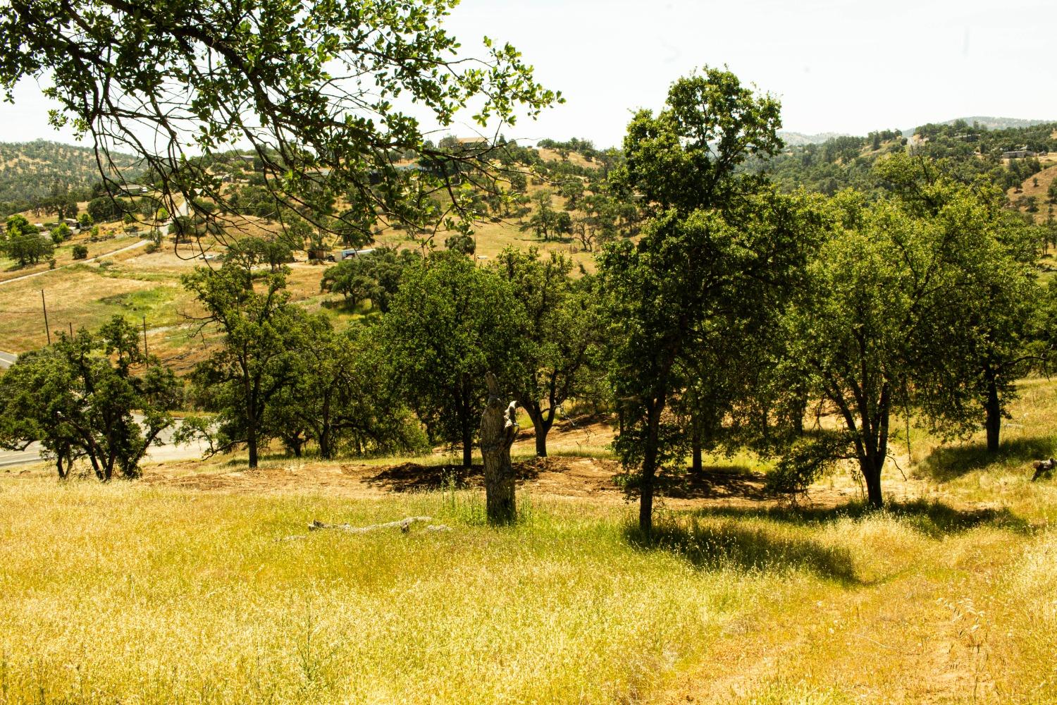 Detail Gallery Image 17 of 26 For 3070 State Hwy 132, La Grange,  CA 95329 - – Beds | – Baths