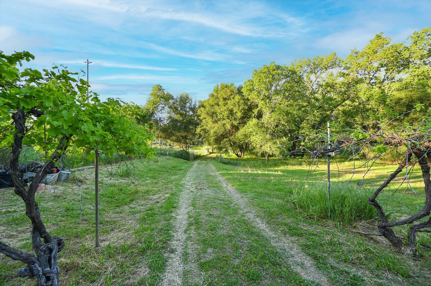 Detail Gallery Image 5 of 70 For 13930 Fiddletown Rd, Fiddletown,  CA 95629 - 3 Beds | 2/1 Baths