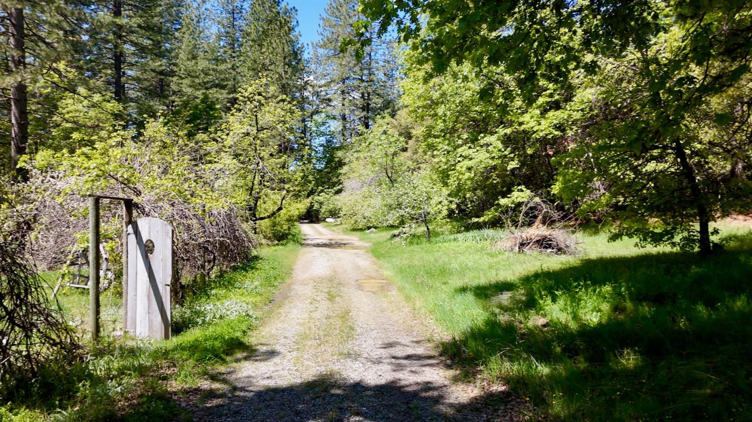 Detail Gallery Image 2 of 39 For Address Is Not Disclosed, Nevada City,  CA 95959 - – Beds | – Baths
