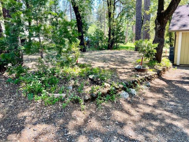 Siems Avenue #15 SU, Colfax, California image 22