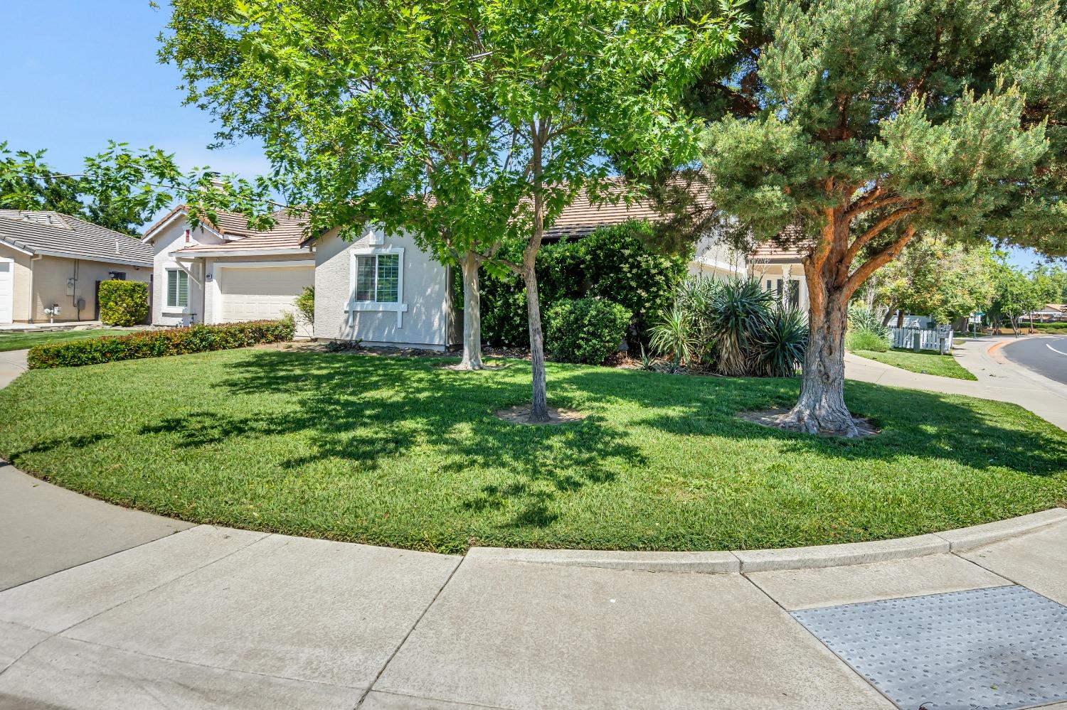 Di Lusso Drive, Elk Grove, California image 4
