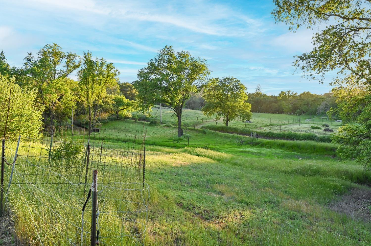 Detail Gallery Image 64 of 70 For 13930 Fiddletown Rd, Fiddletown,  CA 95629 - 3 Beds | 2/1 Baths
