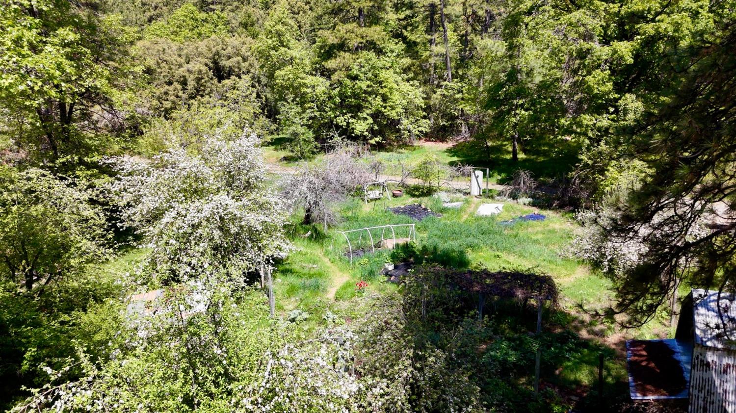 Detail Gallery Image 10 of 39 For Address Is Not Disclosed, Nevada City,  CA 95959 - – Beds | – Baths