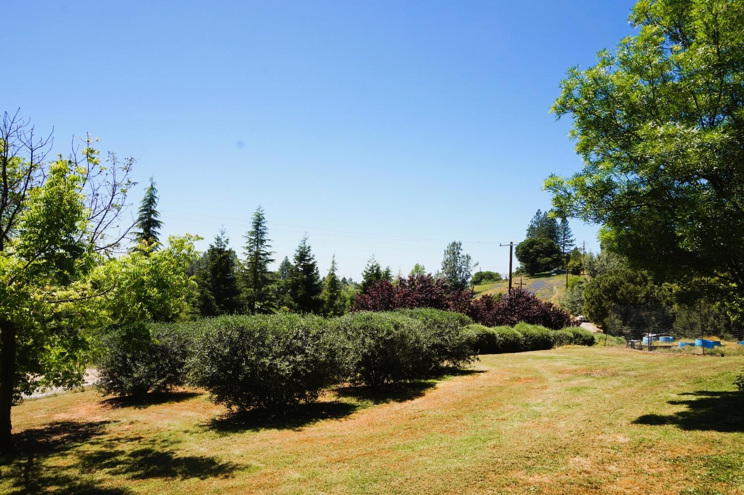 Detail Gallery Image 45 of 65 For 18145 Holly Rd, Fiddletown,  CA 95629 - 3 Beds | 2 Baths