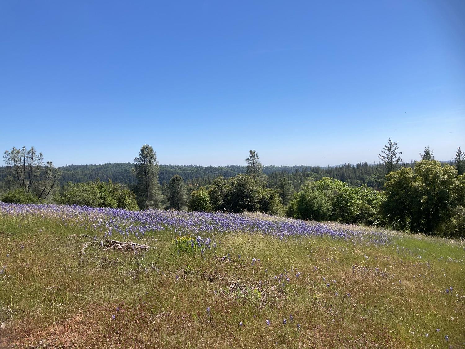 Detail Gallery Image 49 of 83 For 16688 Sonshine Ln, Sutter Creek,  CA 95685 - – Beds | – Baths